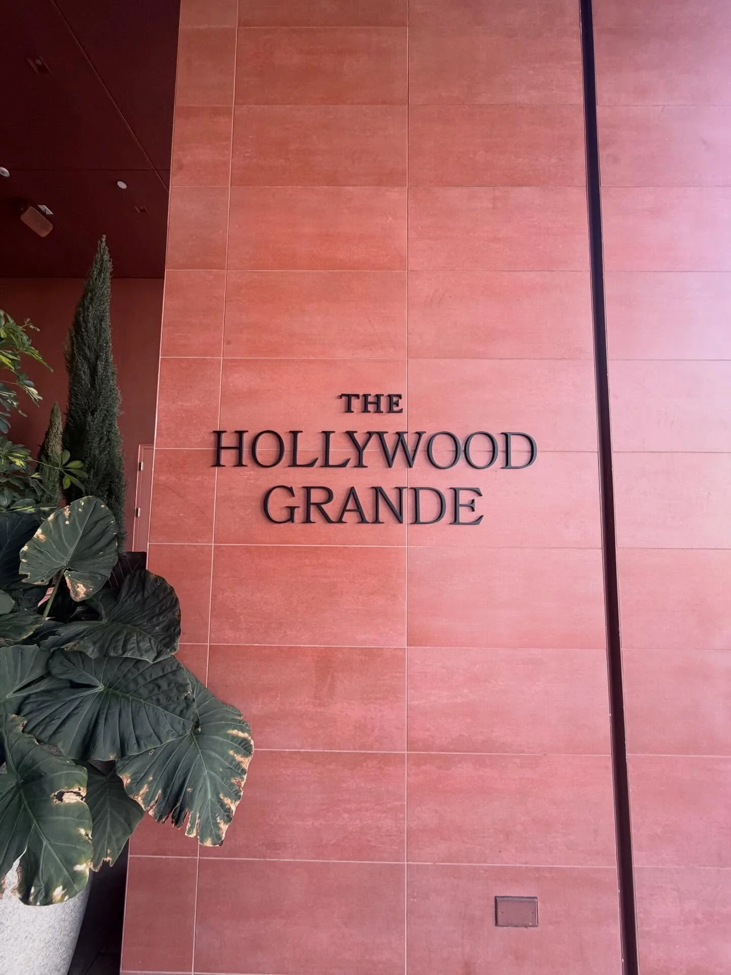 A quick weekend trip to Hollywood left me with tons of typography inspiration. 

Vintage signage, restaurant branding, and hospitality touches gave me a plenty of great examples of design to feast on. 

Whenever I travel, I&rsquo;m always on the hunt