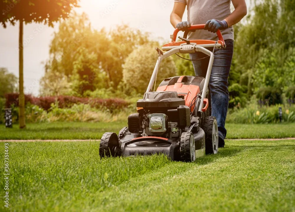 Finding The Best Lawn Care Service Nearby