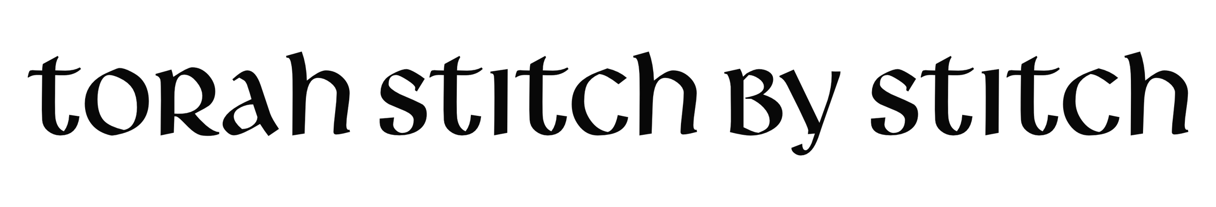 Torah Stitch by Stitch Logo