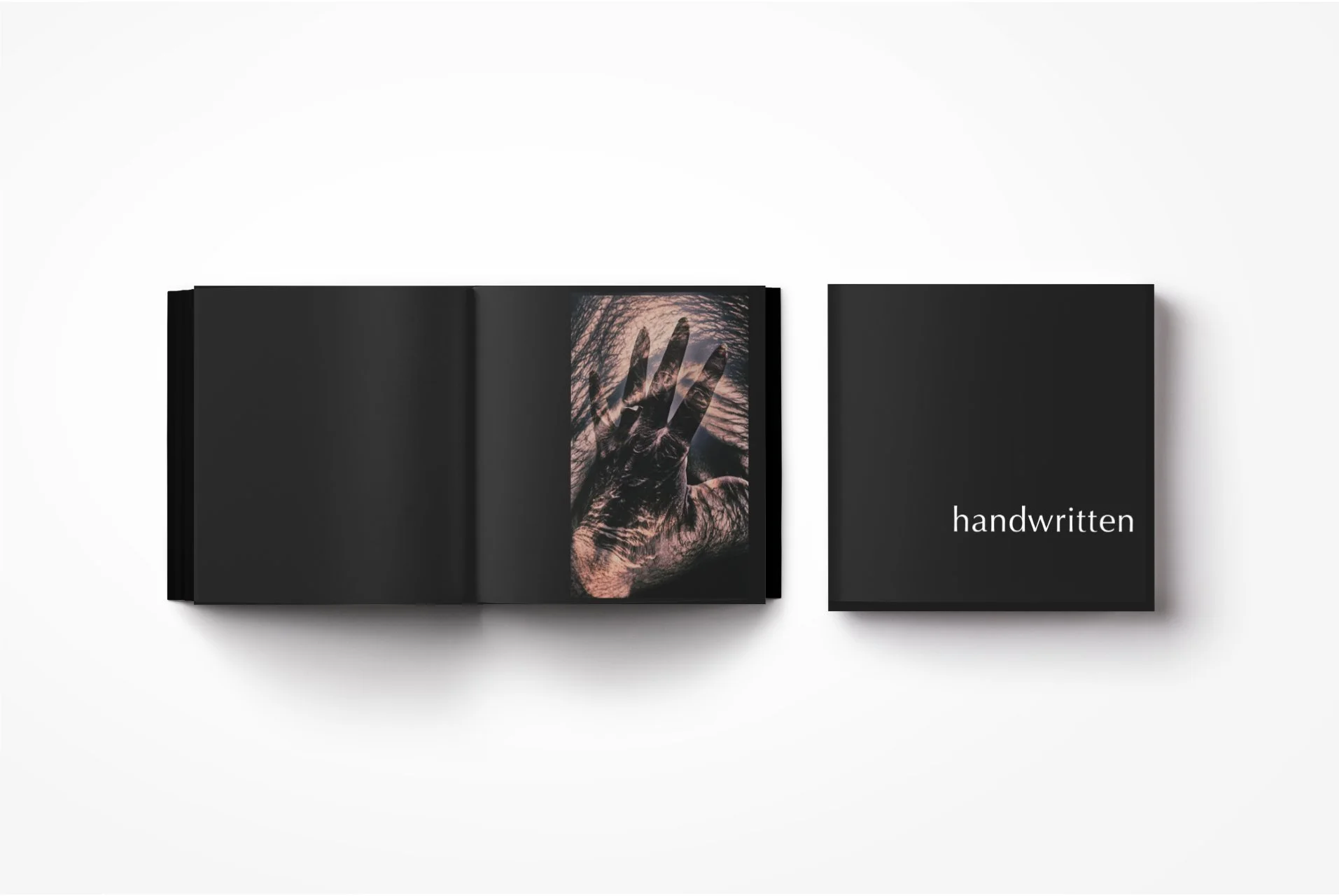 barbara findlay Art Book Design by Anna Mar Design