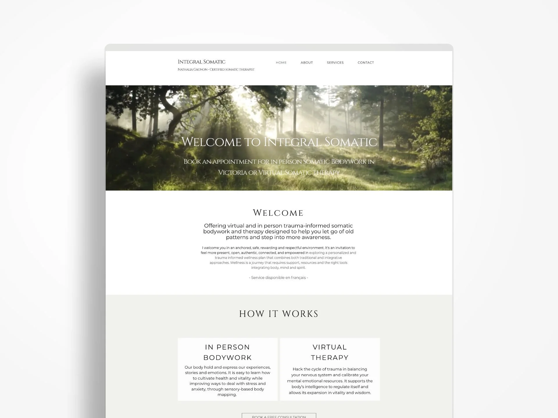 Integral Somatic - Website Audit & SEO