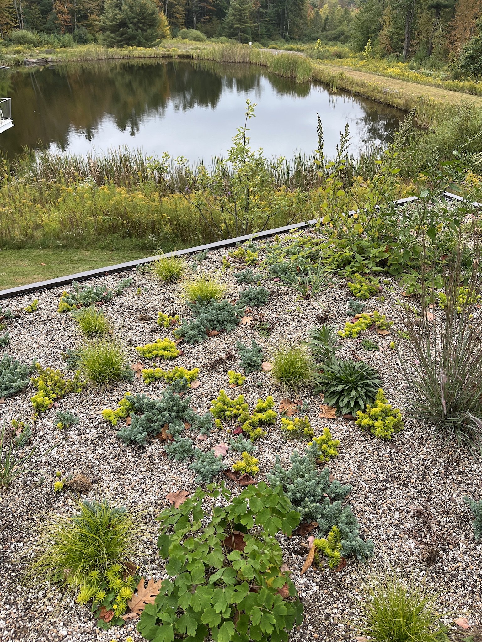 Copy of september_overlooking pond.jpeg
