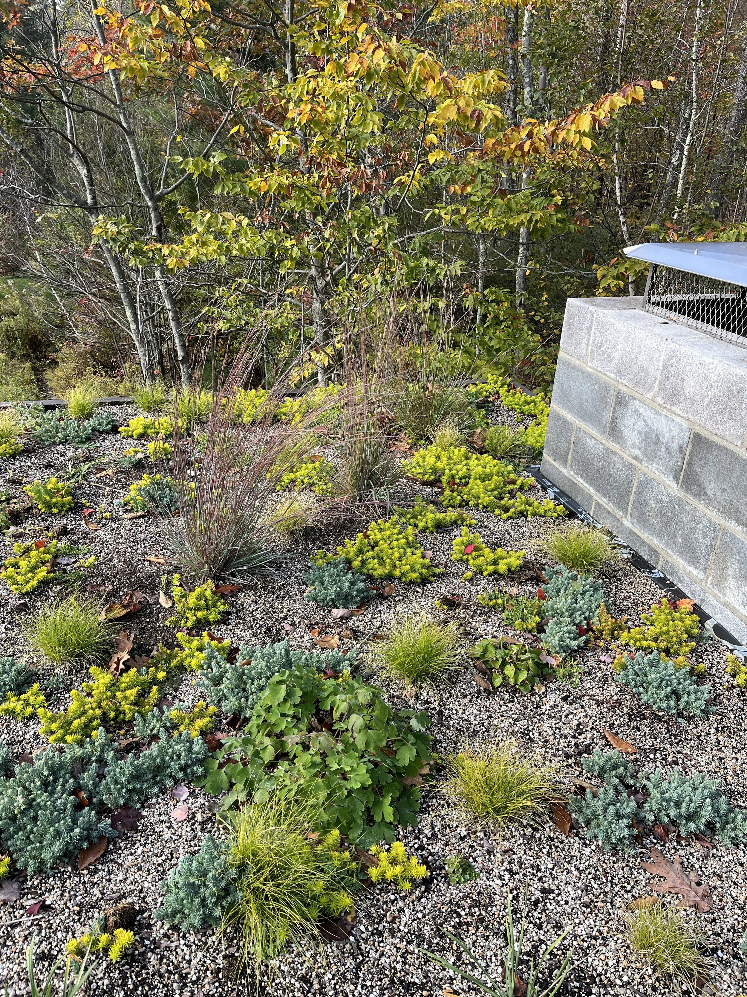 Copy of october_2.jpeg