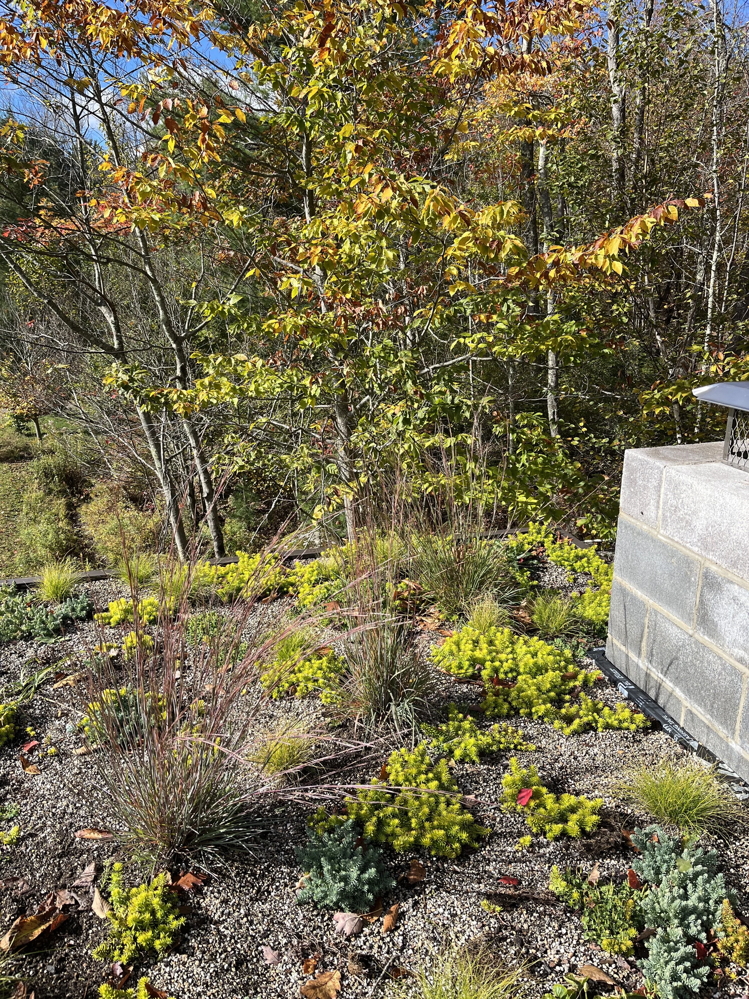 Copy of october_3.jpeg