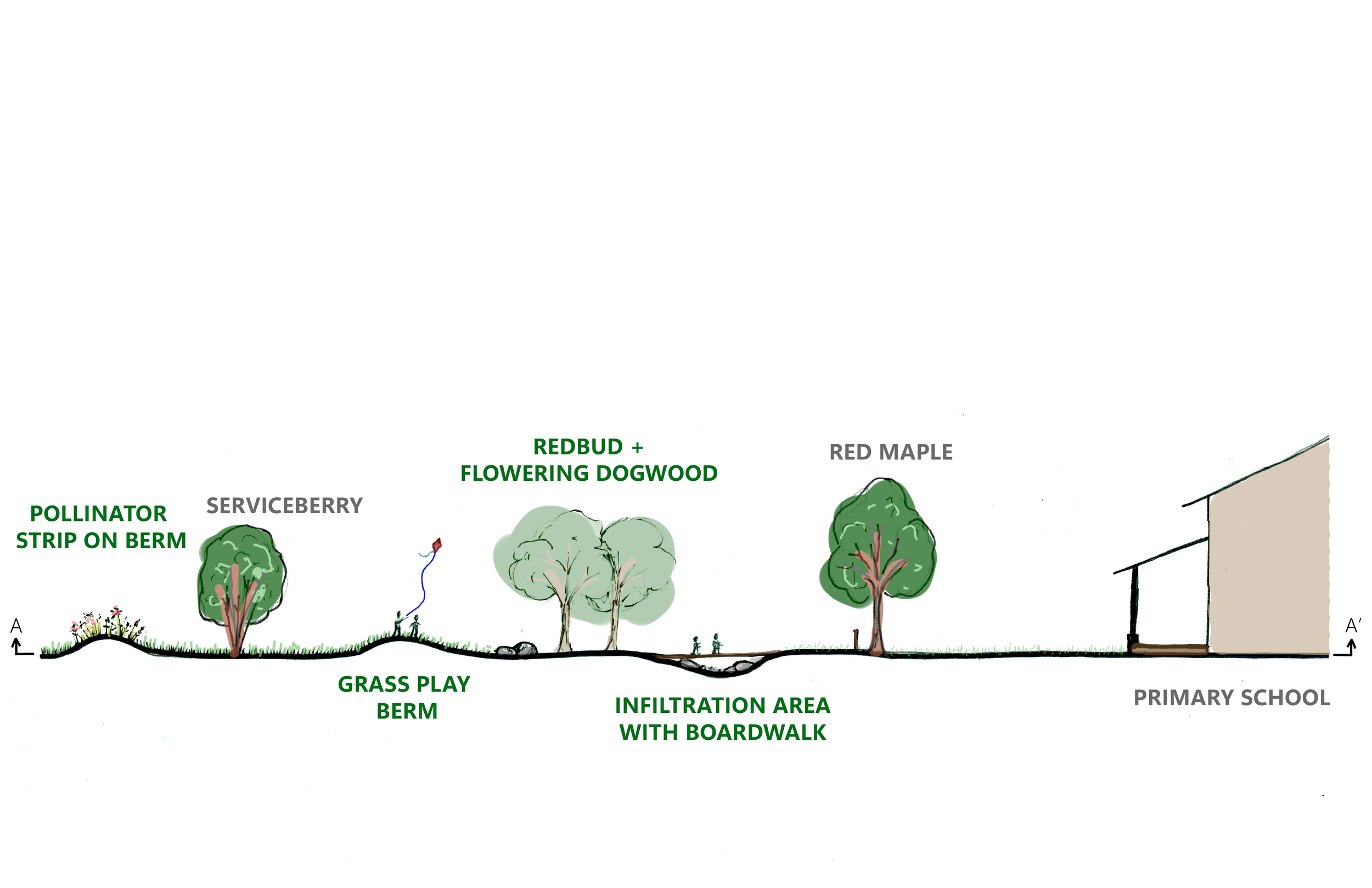 section of final playground design