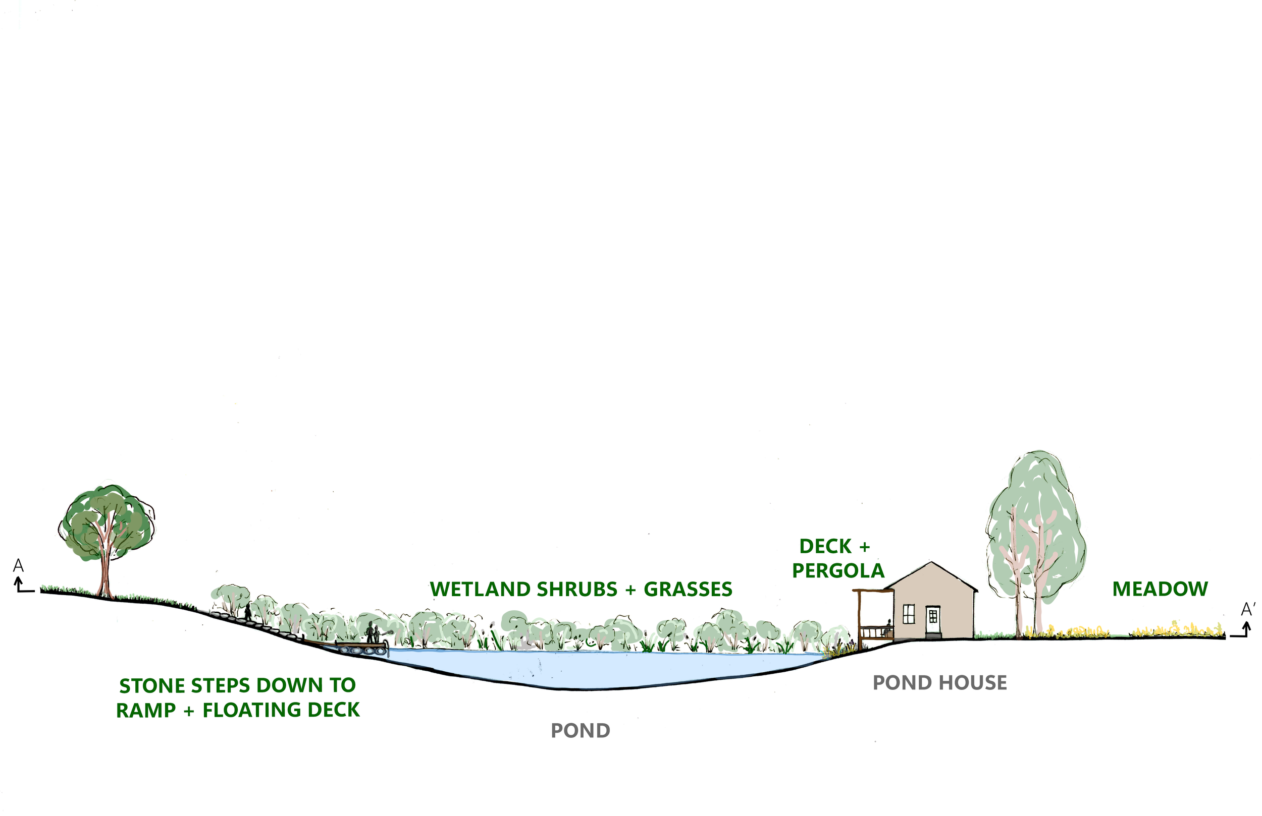 section of final pond design