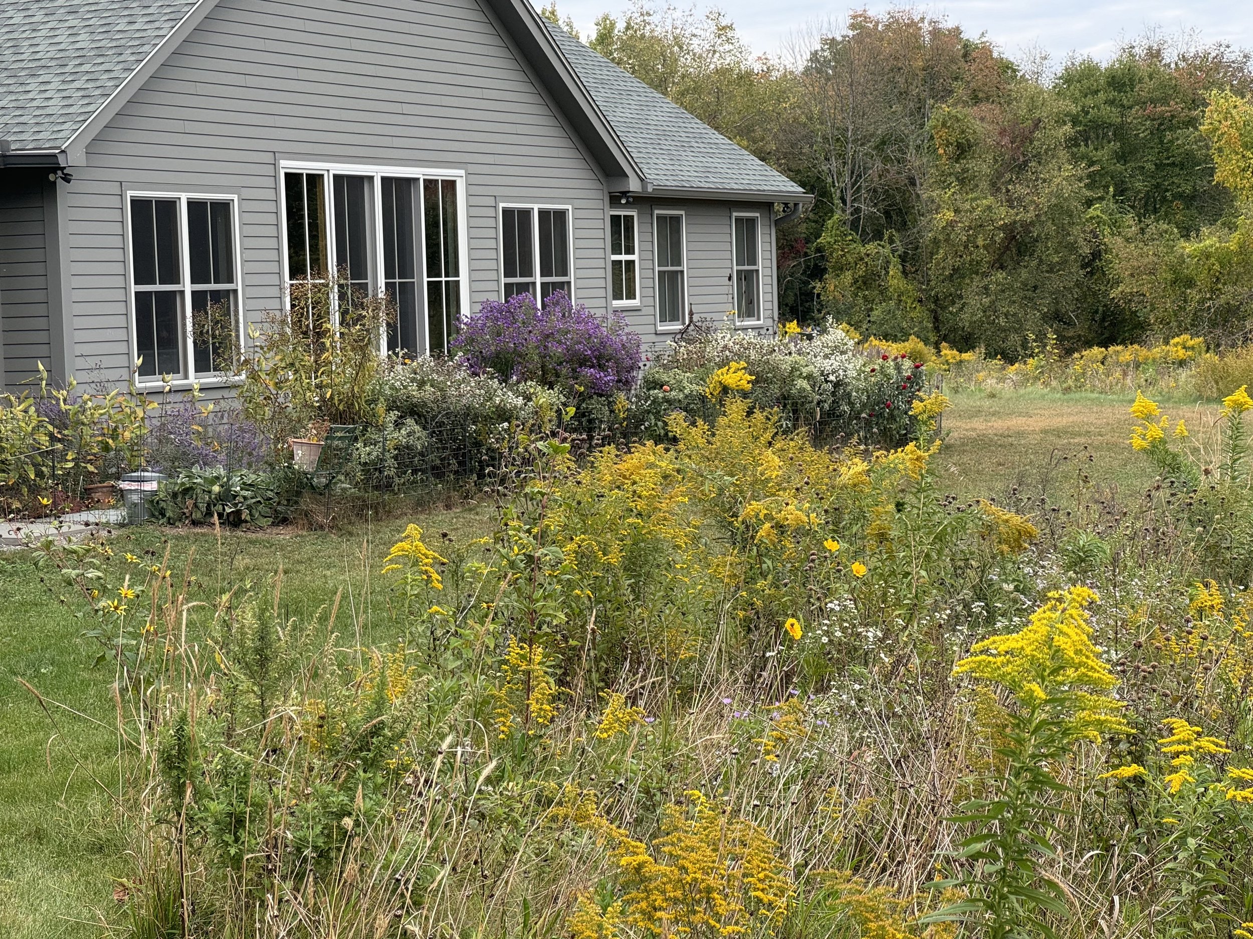 Farmhouse Meadows (Ancram, NY)