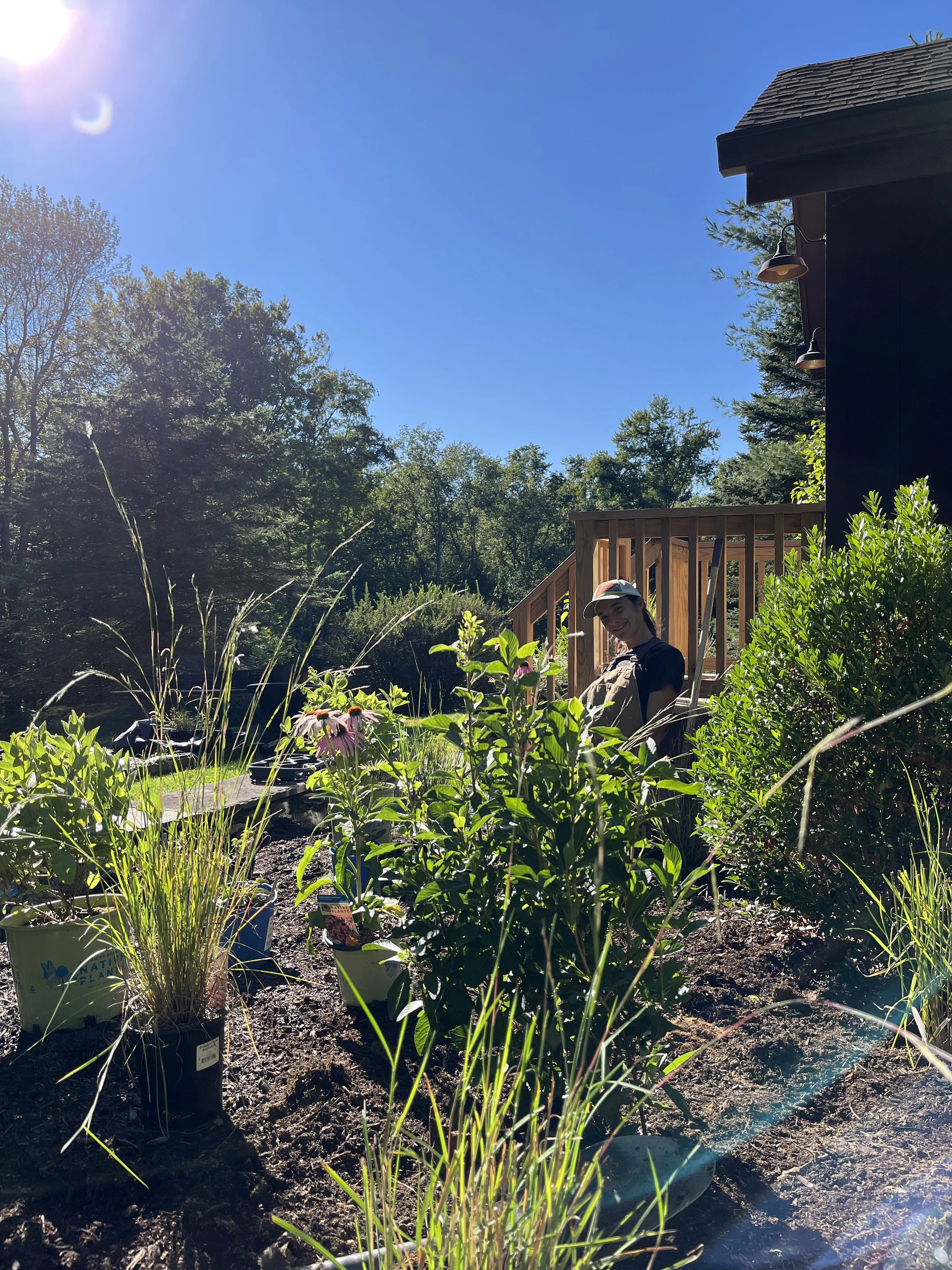 installing little bluestem, clethra & more in Ancram, NY