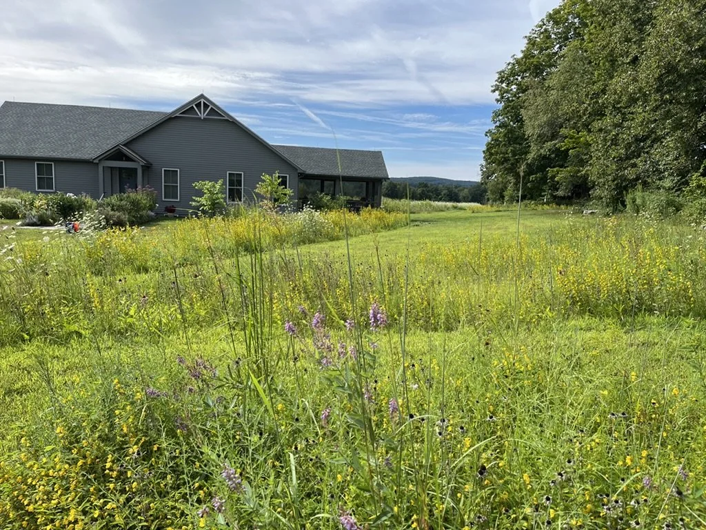 meadows and shrubs in front of house