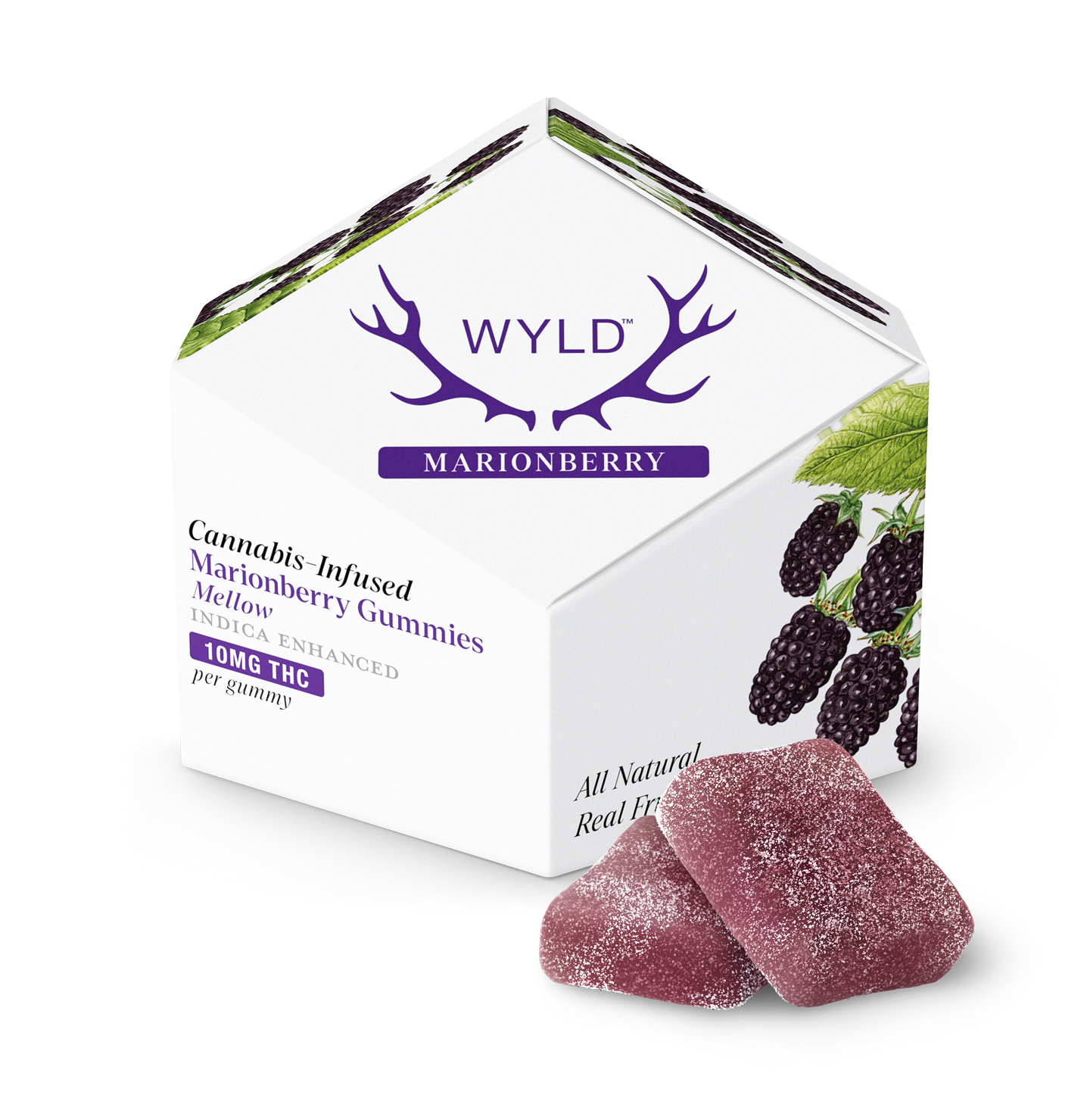 Wyld-10ct_Box-US_Fruit-Marionberry-Gummies-Shadow.png