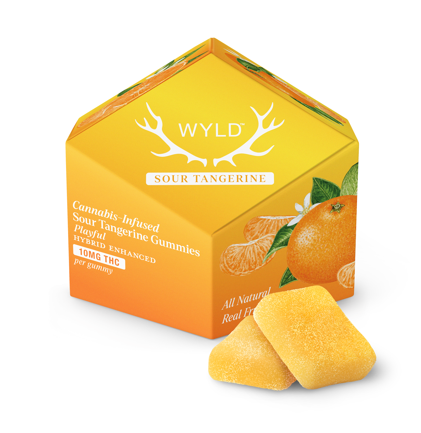 Wyld-10ct_Box-US_Fruit-Sour_Tangerine-Gummies-Shadow.png