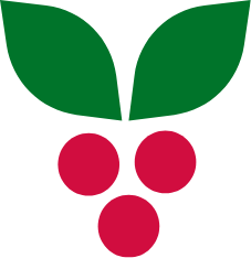 Illustration of three red berries with two green leaves above them.