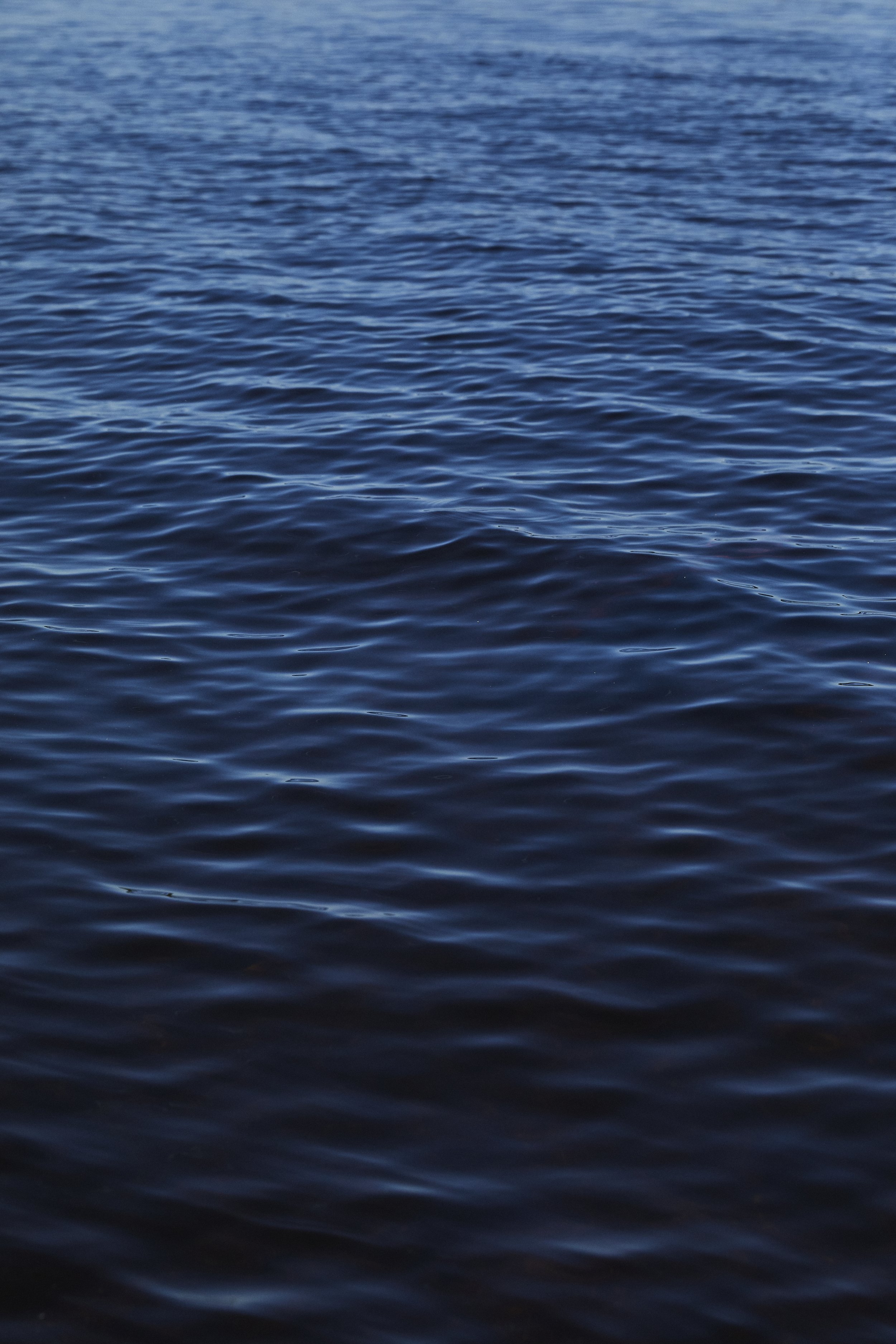 sealoversjune192021_157.jpg