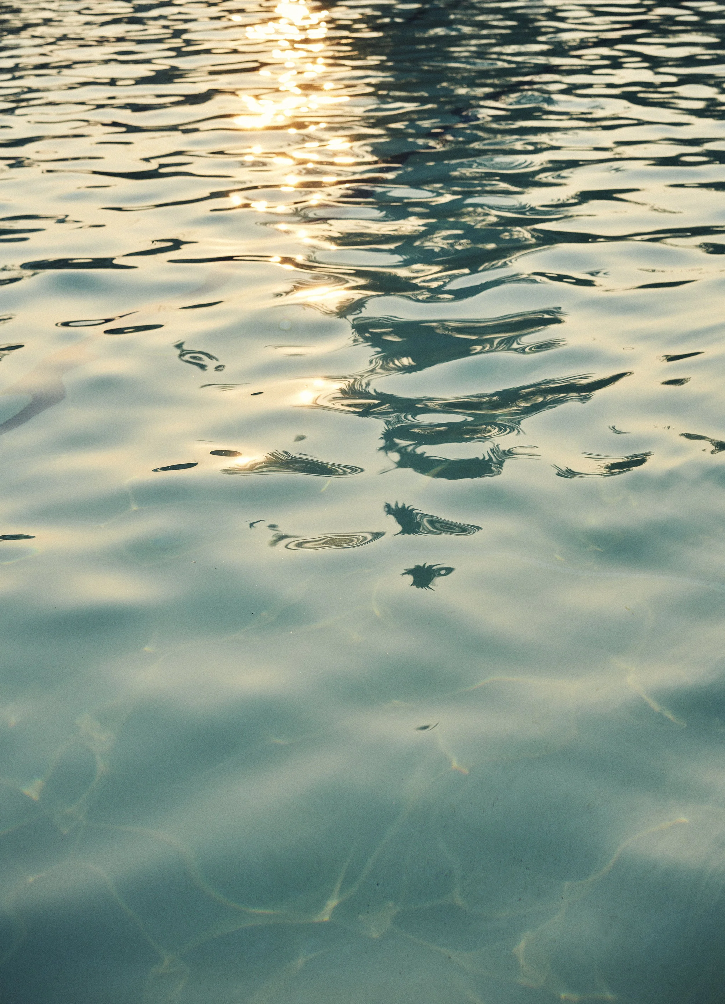 Sun reflection on rippling water surface with subtle color variations.