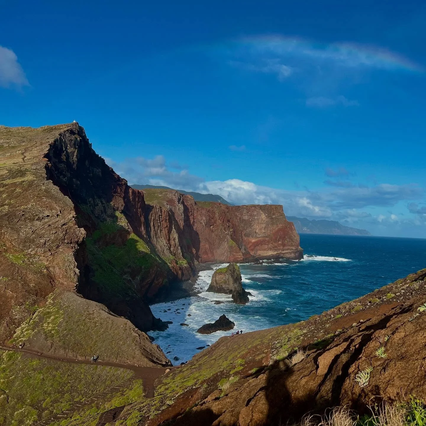Got to spend time with my two favorite people in some of the most breathtaking places I&rsquo;ve ever seen!! What a treat!!🌺🌴🦜🍍🐠🦩🥭🏝️