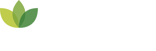 SVT Group