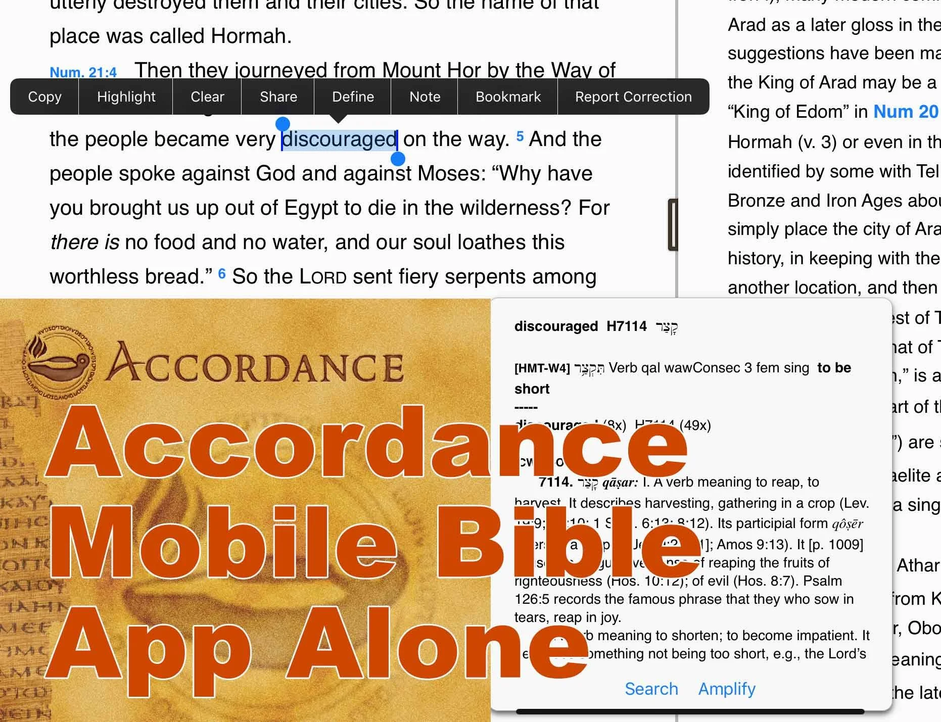 Accordance Bible Software 25 Day Switch Part Two - Accordance Mobile