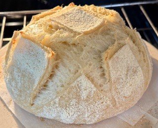 1 loaf after 20 min bake.jpg