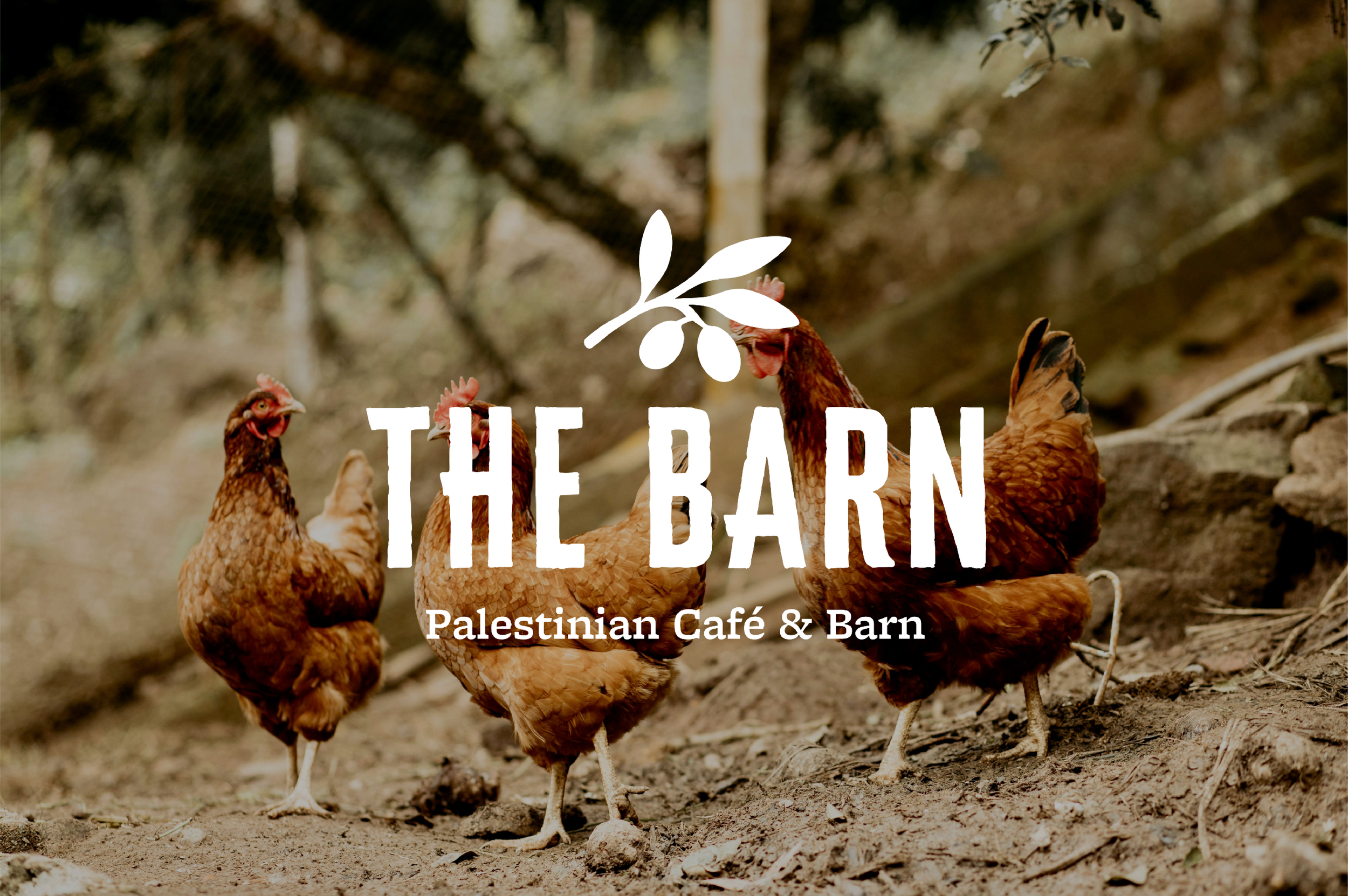 Chickens standing outside in the background, with the text 'The Barn Palestinian Café & Barn' overlayed.