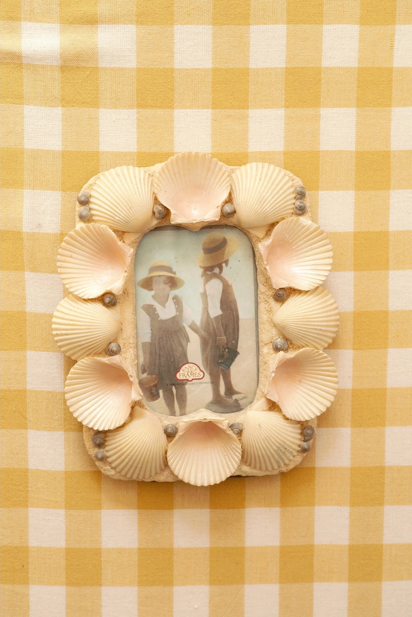 tidepool memories frame