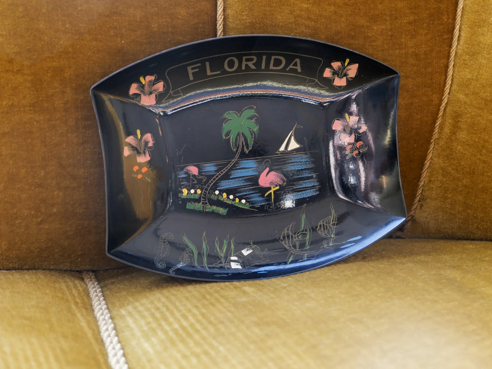 florida after dark tray