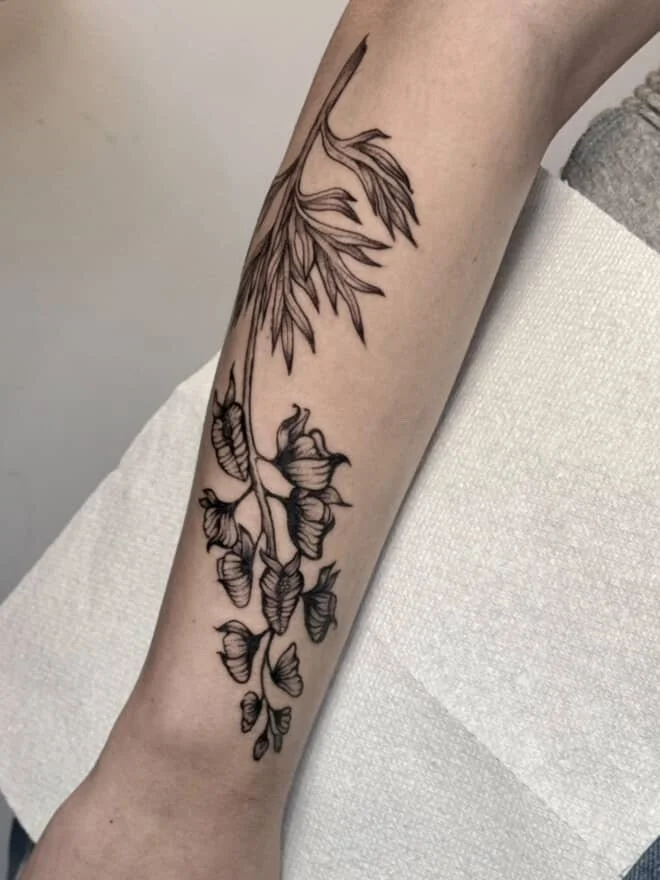 AC46D5CF-46A2-4CD9-8C55-0BF637B24D0E 2.JPG