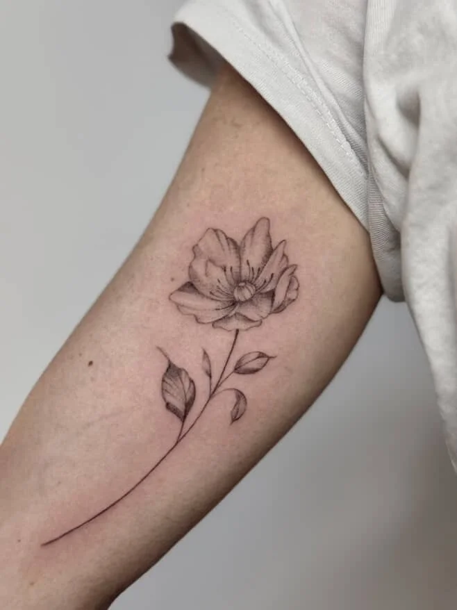 0EA2DEEF-0AE0-4EA6-B046-4AE7B5E6AEFF 2.JPG