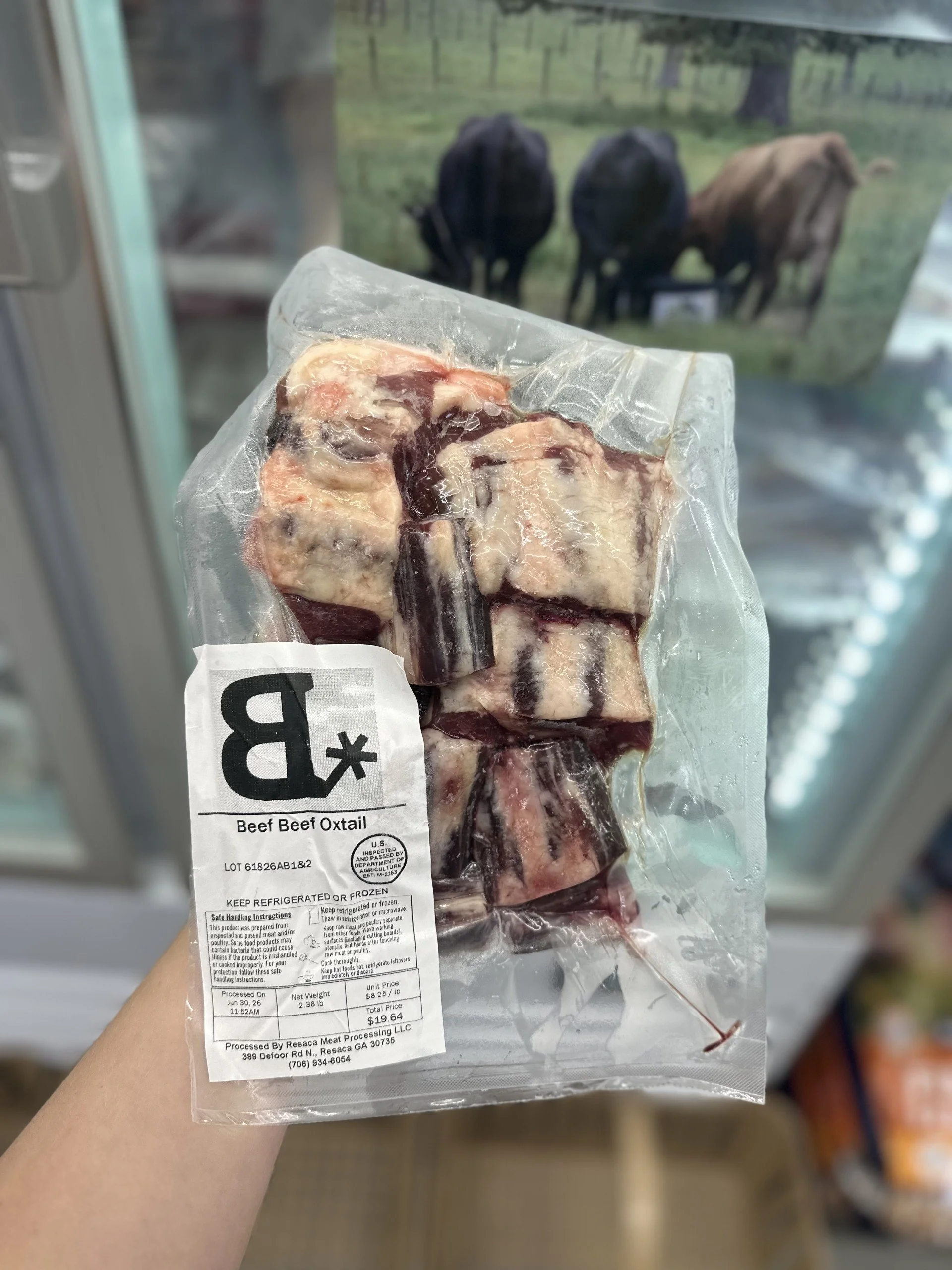 Oxtail