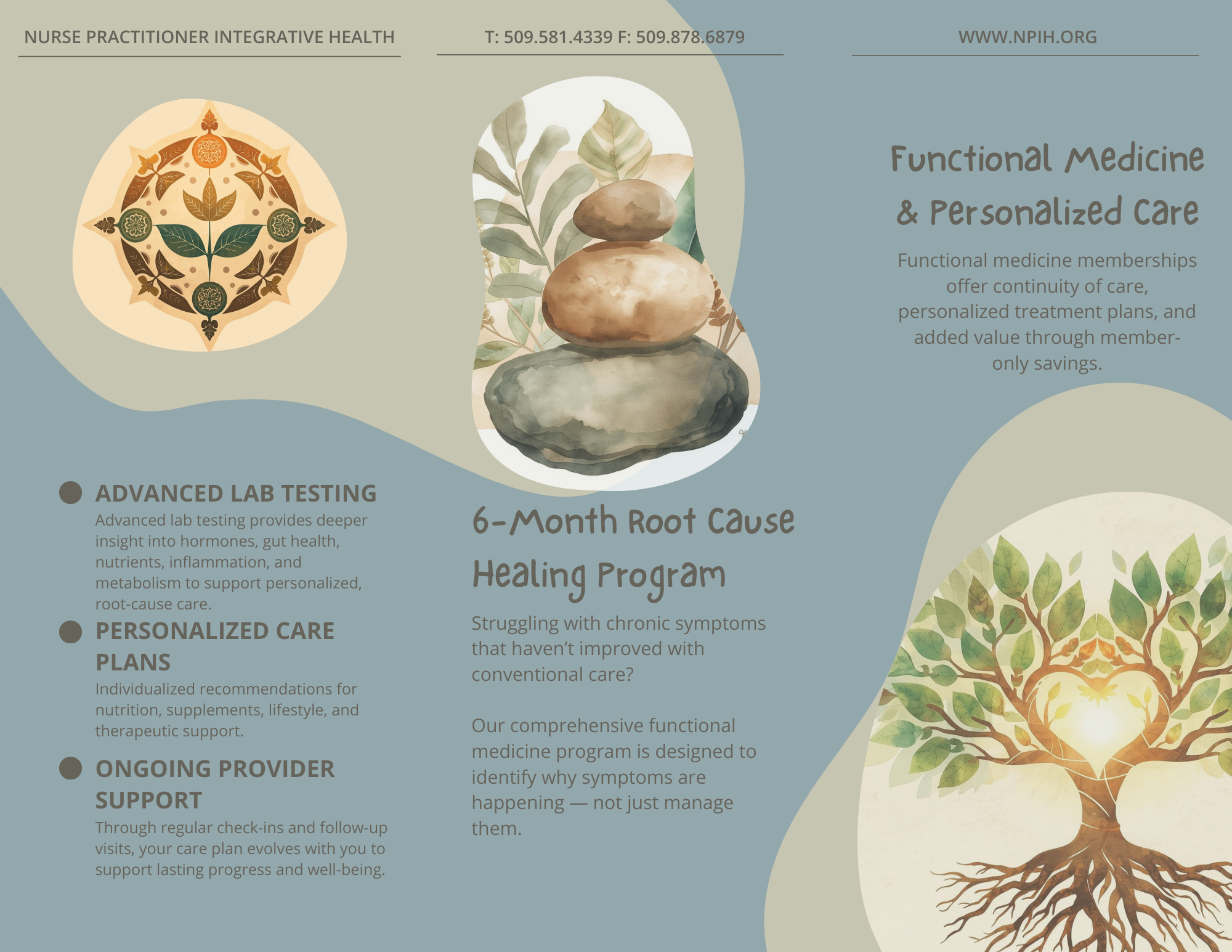 Flyer for Nurse Practitioner Integrative Health promoting a 6-month root cause healing program with images of balanced rocks, a stylized emblem, a tree, and plant illustrations. It details advanced lab testing, personalized care plans, ongoing support, and highlights functional medicine and care continuity.
