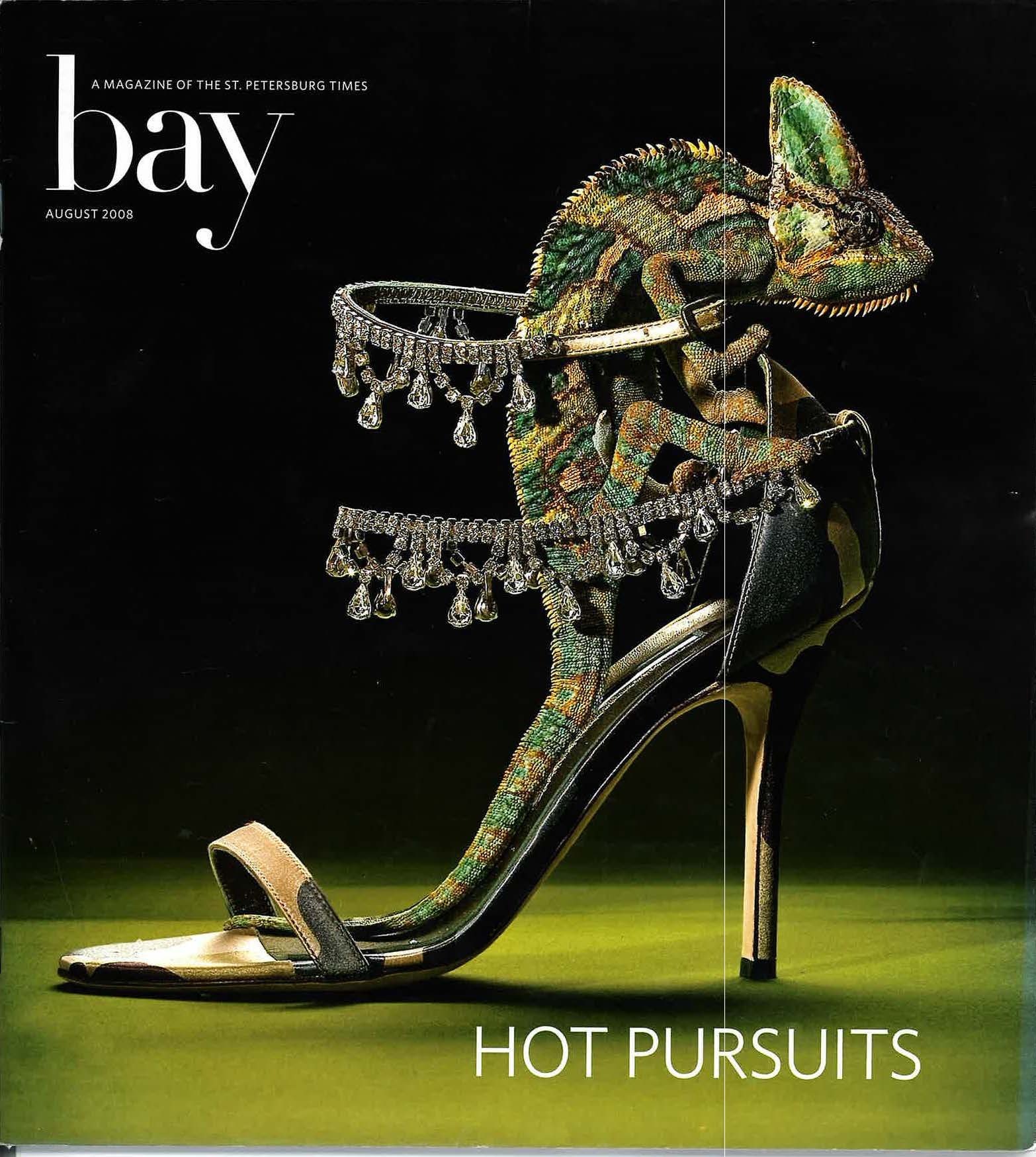 bay magazine 2008_Page_1.jpg