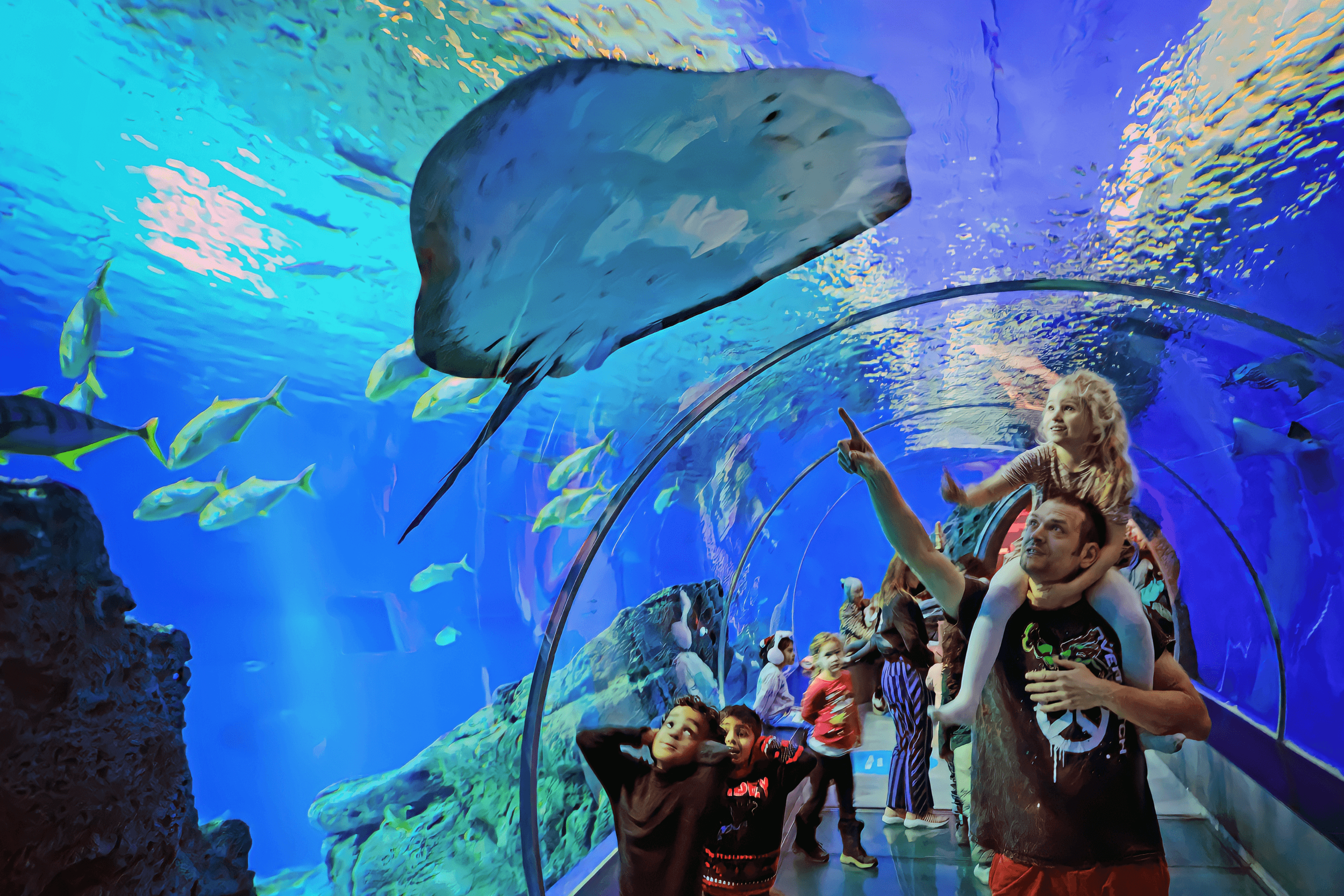Make Room for Unforgettable Adventures