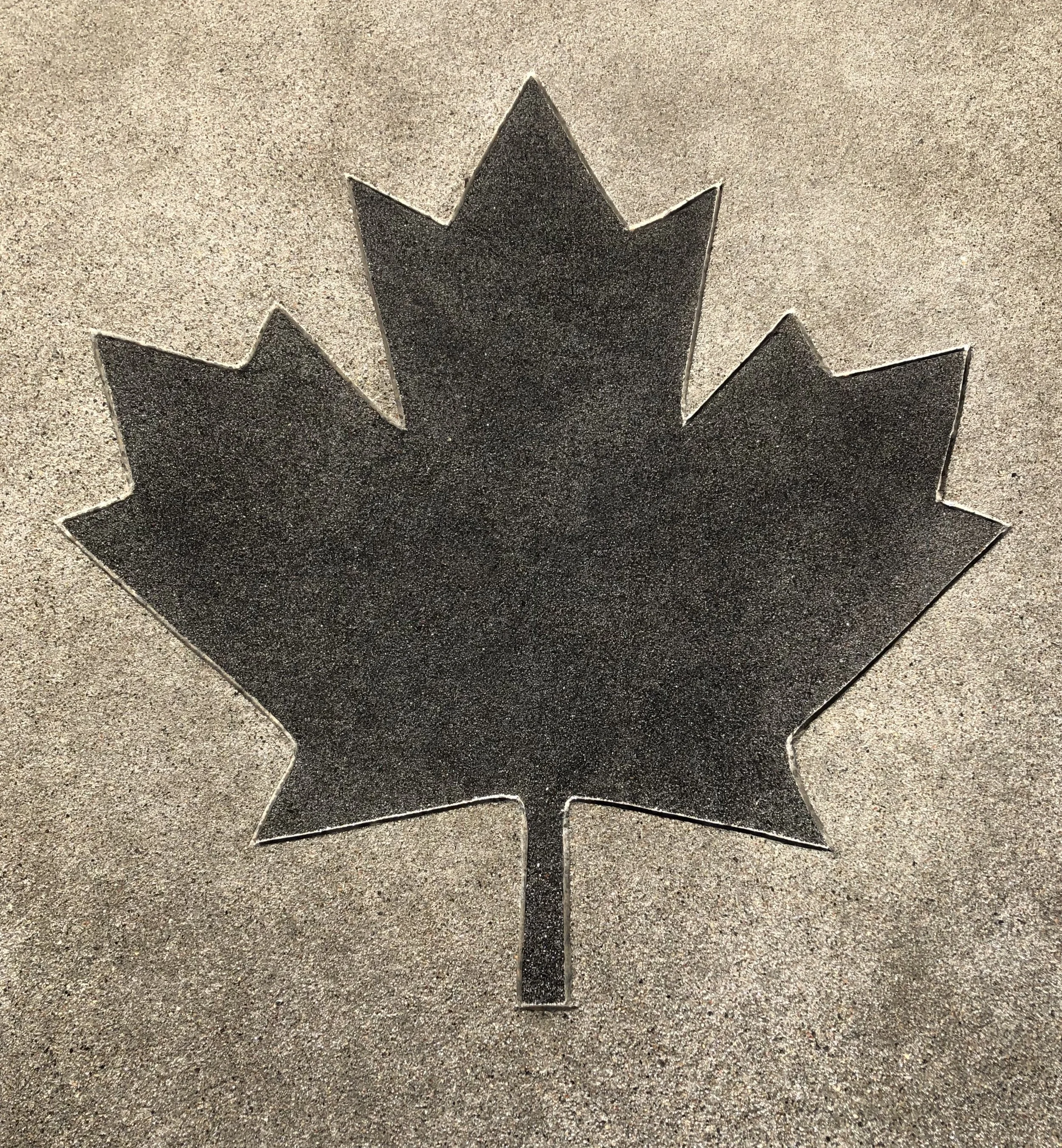 IMG_7391.jpg