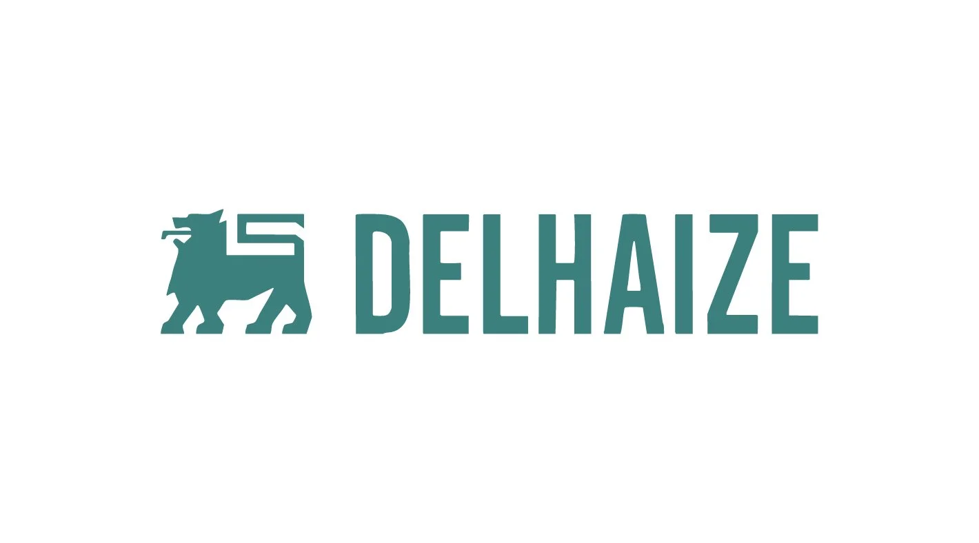 Logo with a stylized lion and the text "DELHAZE"