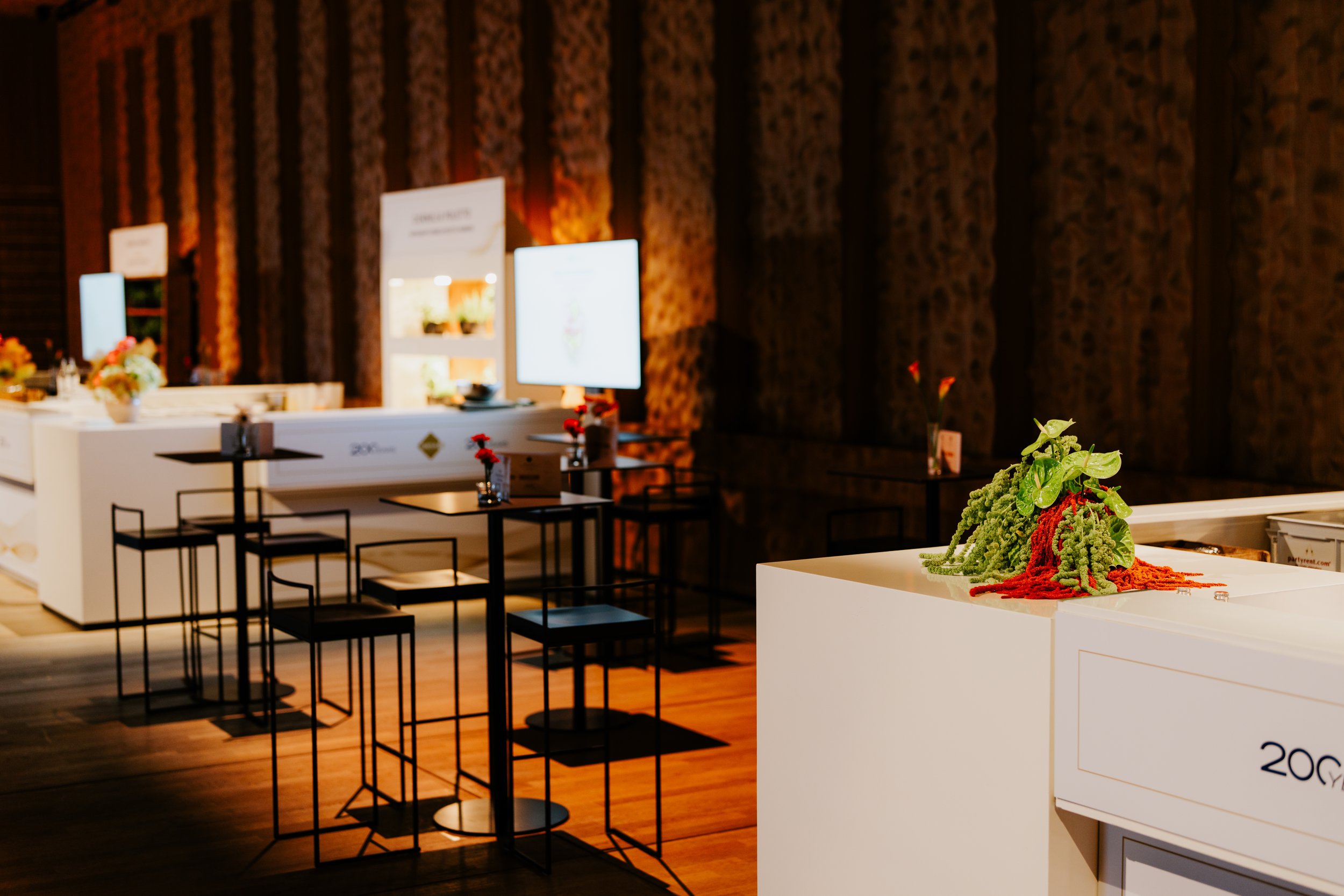 ZERTUS200_Day-2-RobinSchmiedebachPhoto-0374.jpg