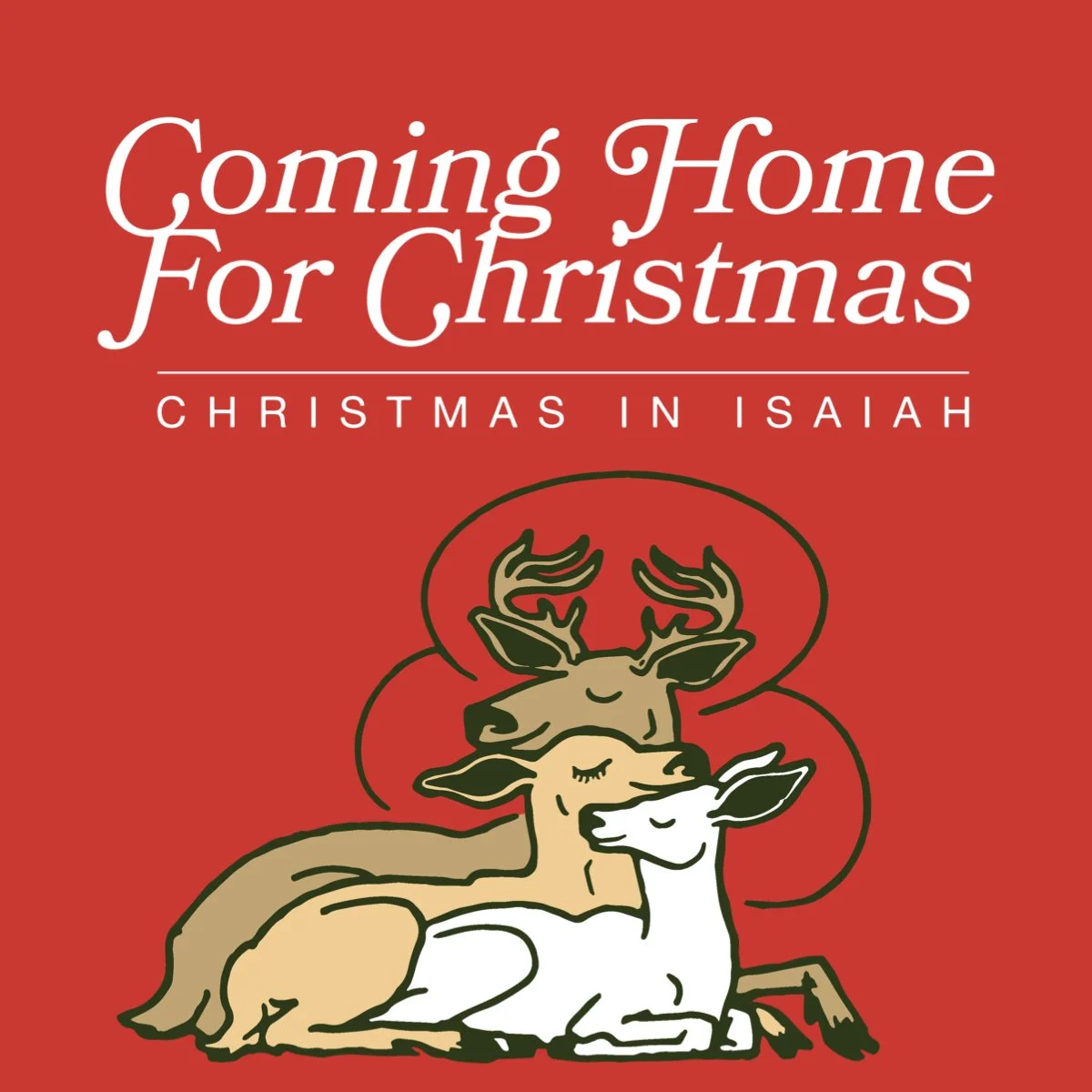 A Light That Leads Us Home