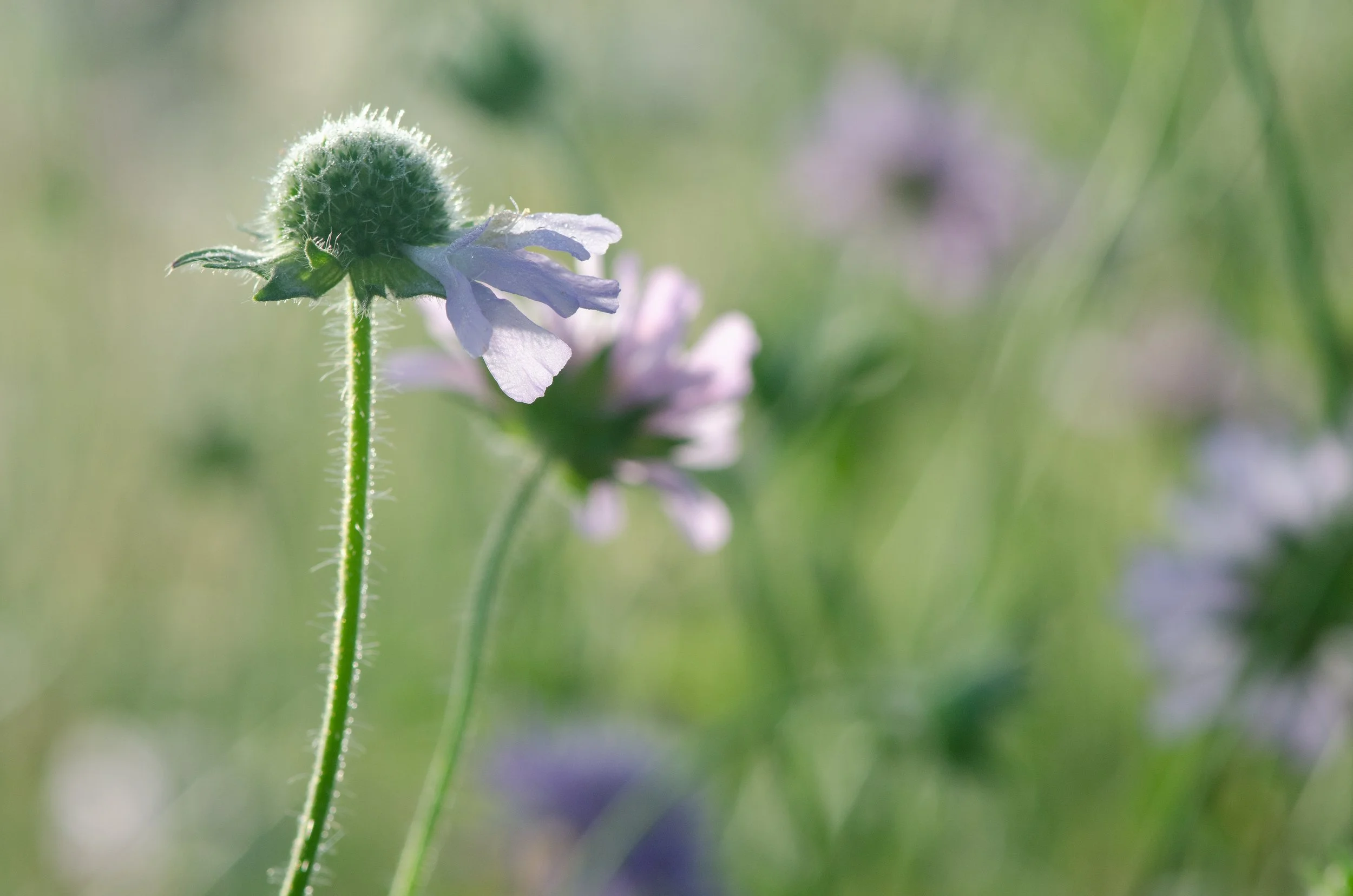 Small Steps Create Big Shifts 