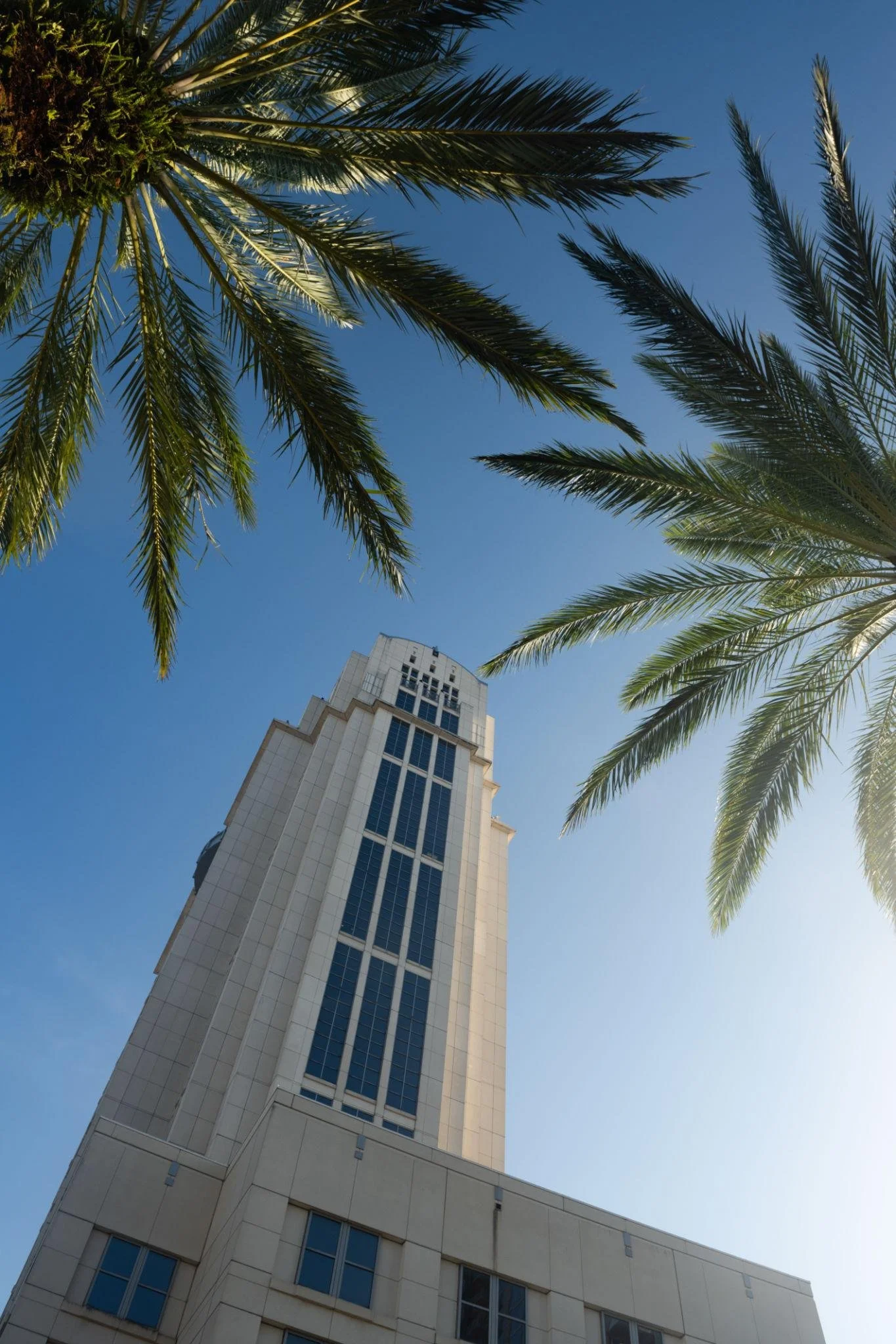 What is Summary Administration in Florida?