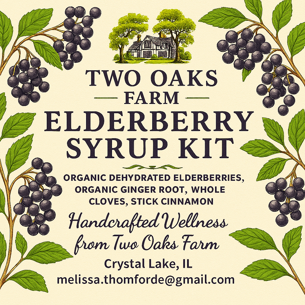 Organic Elderberry Syrup Kit