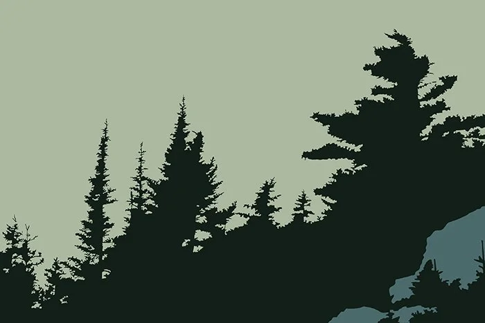 Chasing The Light 2015