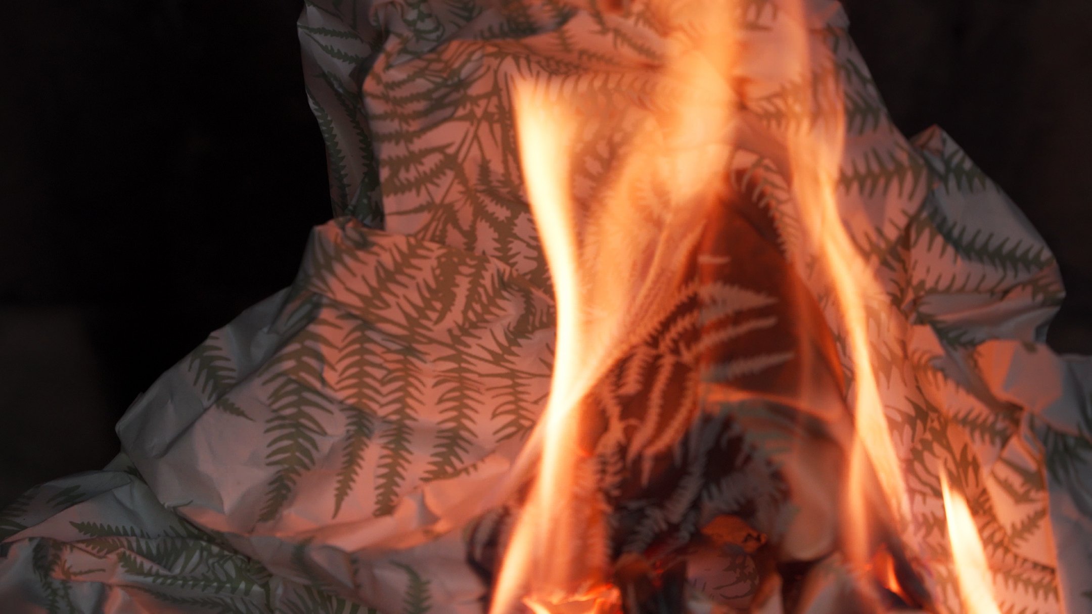 Four Fin Smouldering 2025