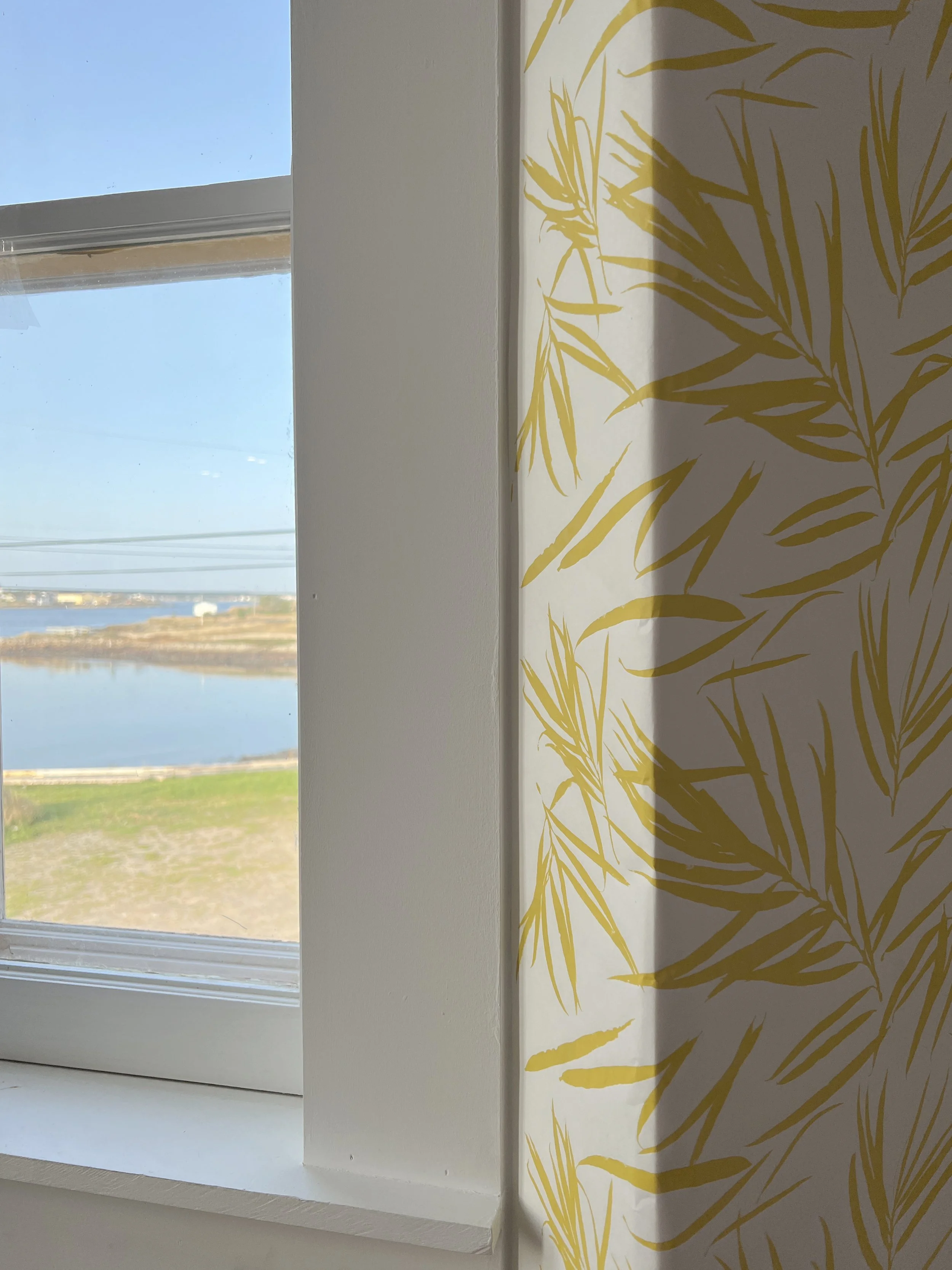 Bend An Ear Willow Tree 2023