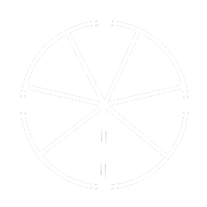 Icon of segmented wheel representing the Entrepreneurial Operating System framework for leadership alignment and business growth.