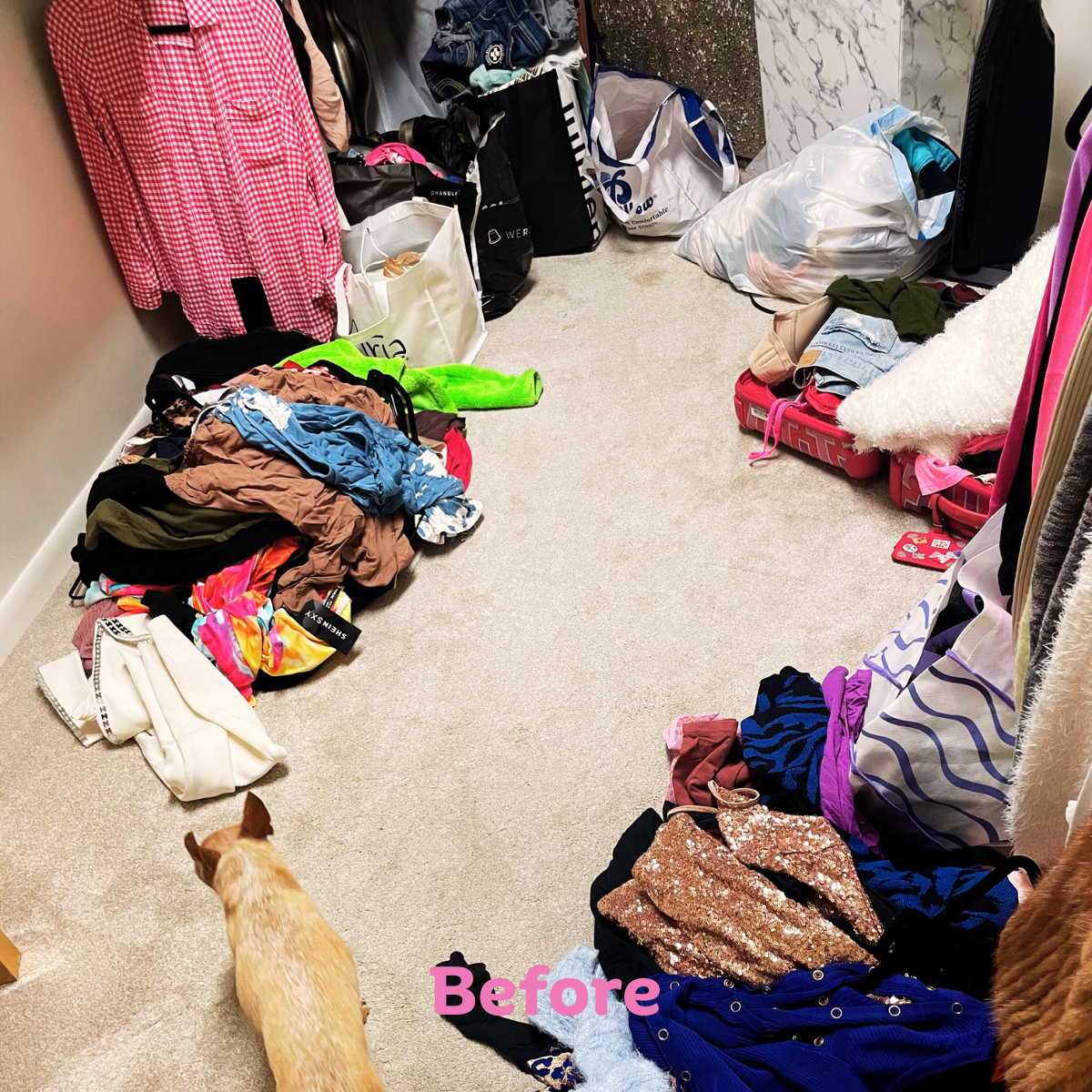 Closet Before.png