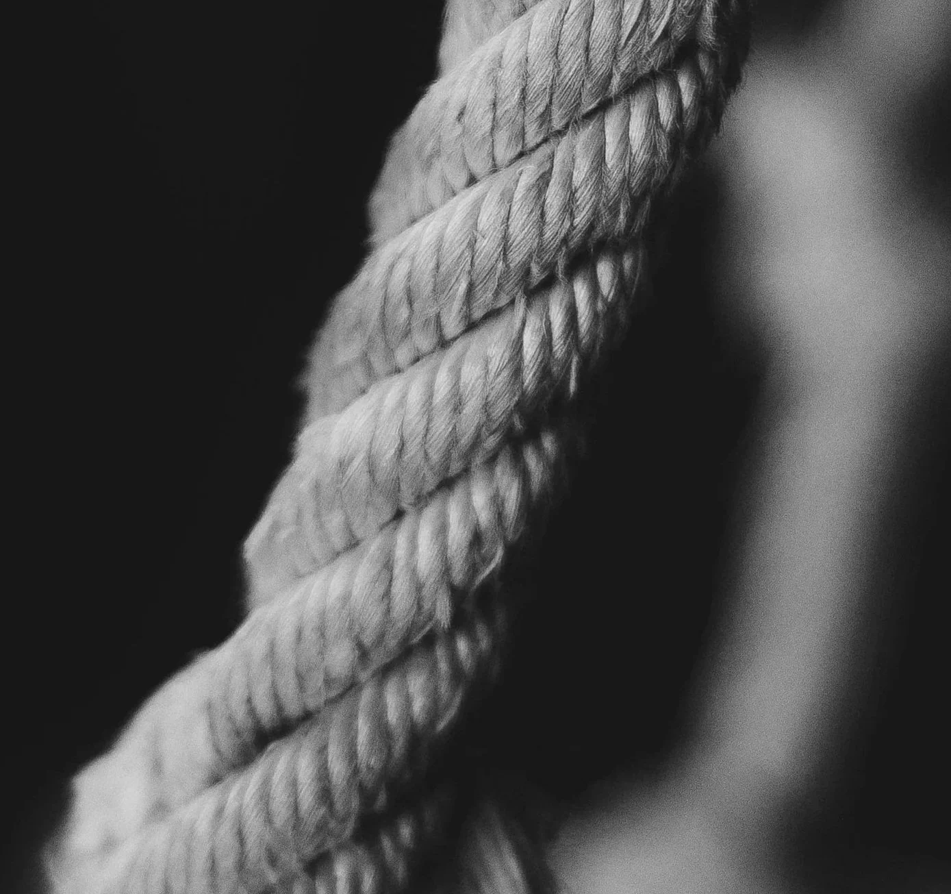 COLLABORATION: Partnership & expertise across sectors to solve shared challenges.