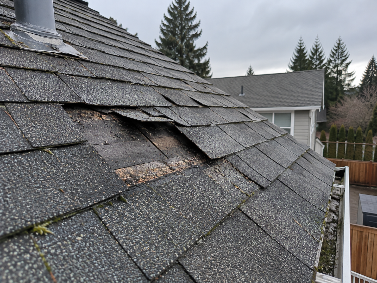 Damaged asphalt shingle roof with missing and curled shingles, located in a residential neighborhood with trees and other houses in the background.