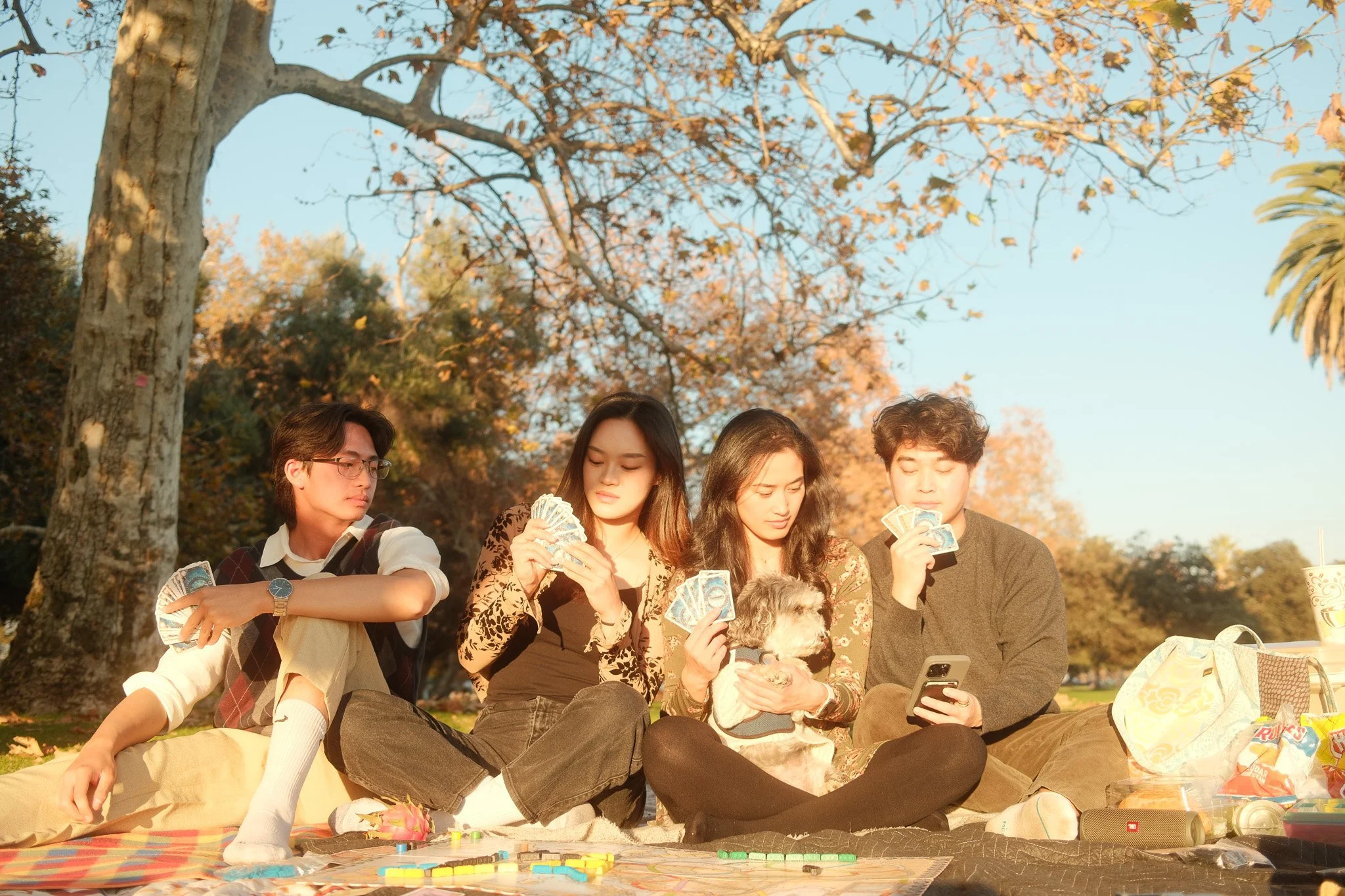Four young people having a picnic outdoors, sitting on a blanket in a park with trees and clear sky, playing with cards and a dog, with snacks and drinks on the side.