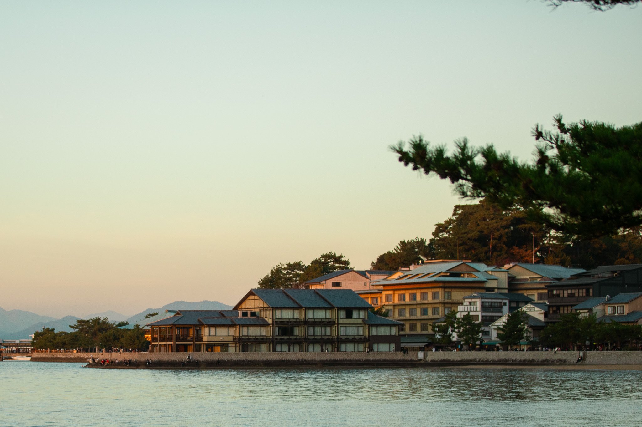 Scenic view of waterfront modern buildings with mountains in the background during sunset, tree branches in the foreground.