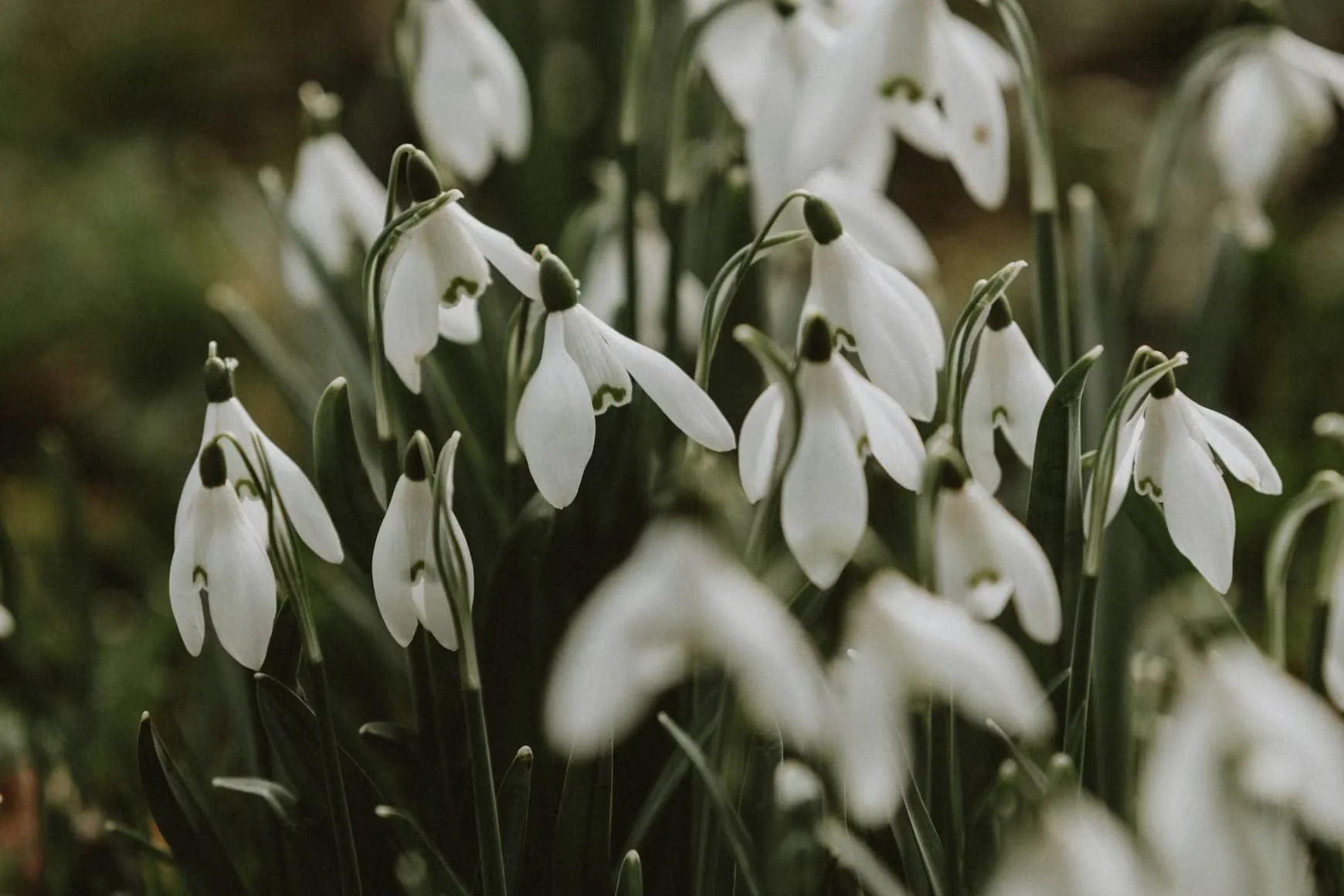 January blog ideas: New Year inspiration for interior brands