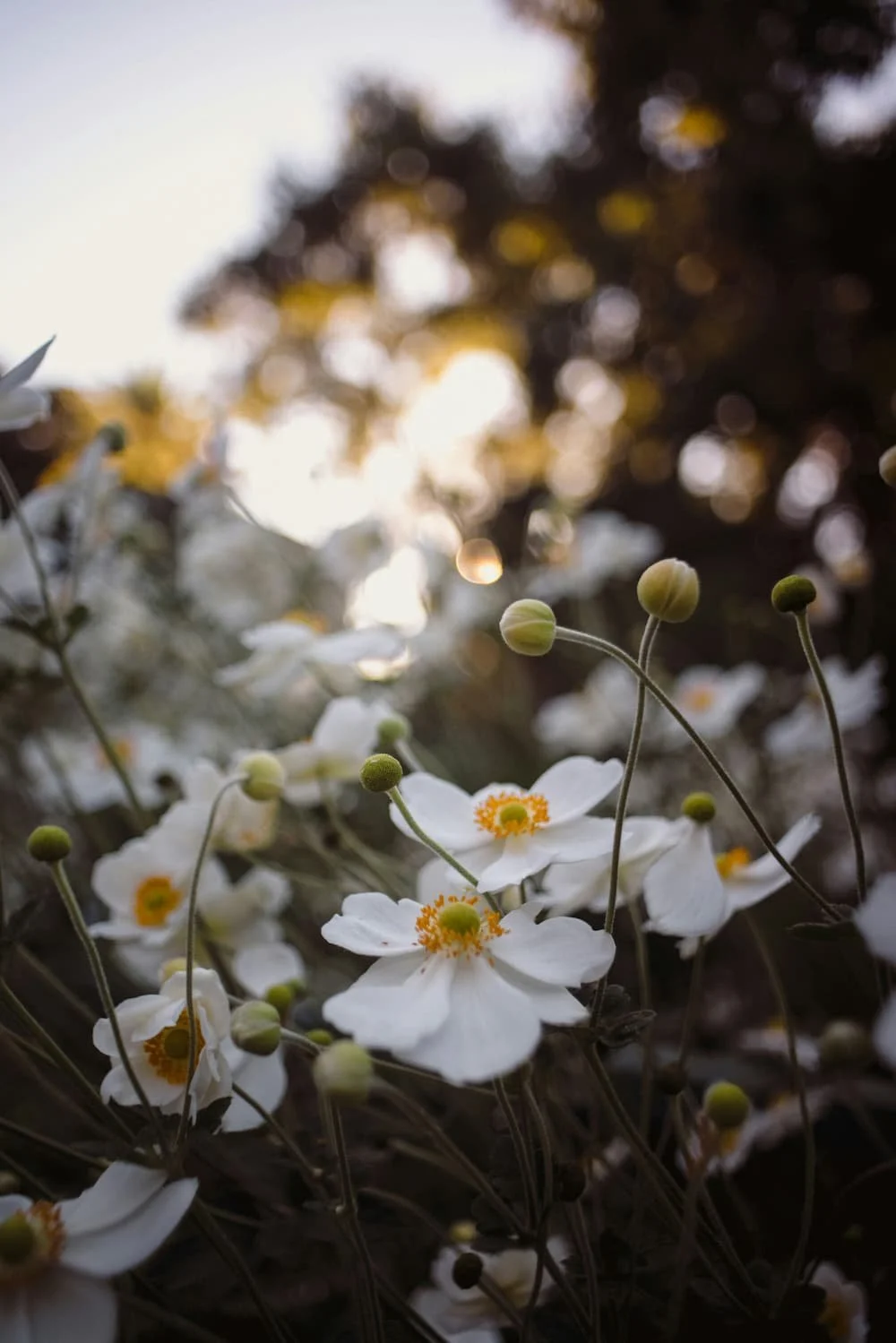 August blog ideas: seclusion, focus, transitions &amp; tech