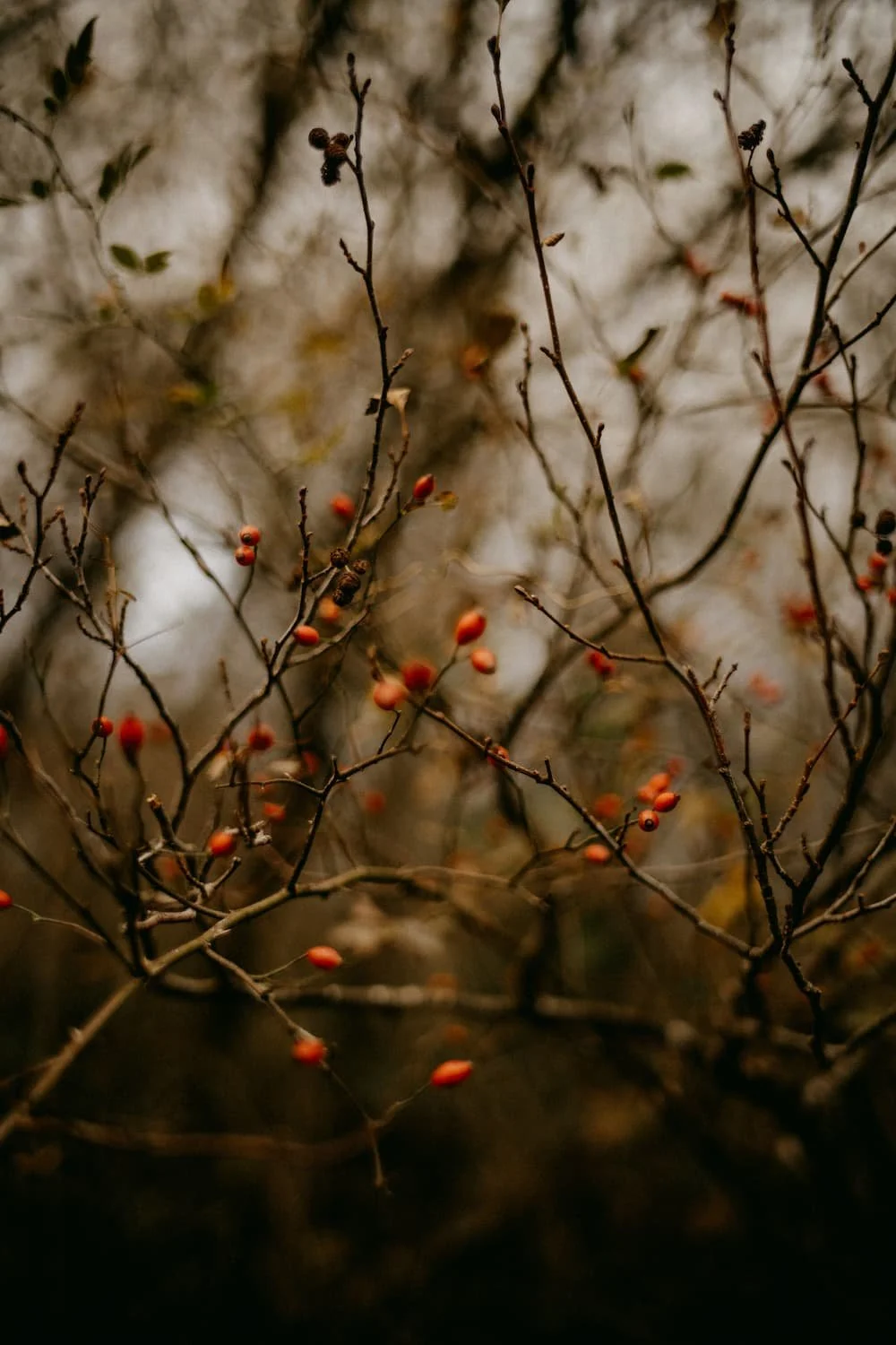 October blog ideas: Autumn aesthetic, wreaths &amp; Halloween